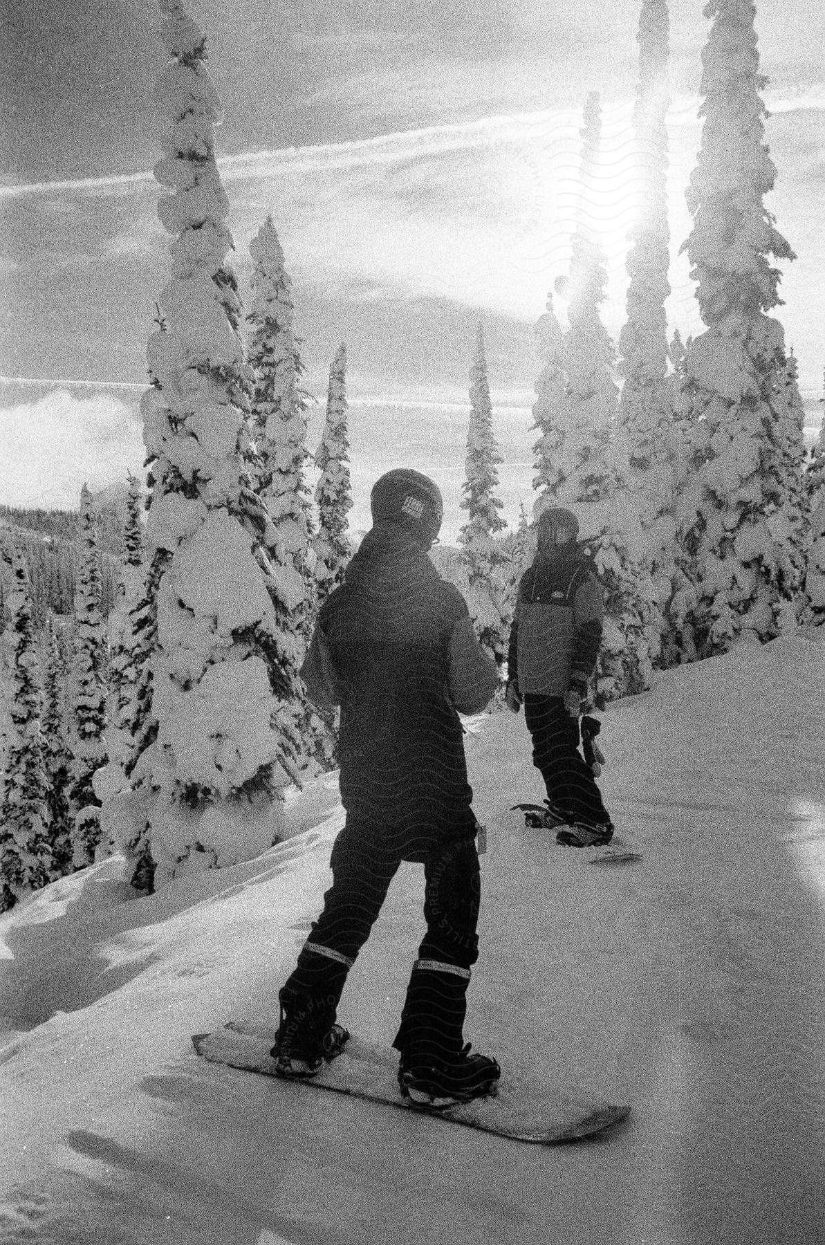 Two snowboarders conversing in a snowcovered forest