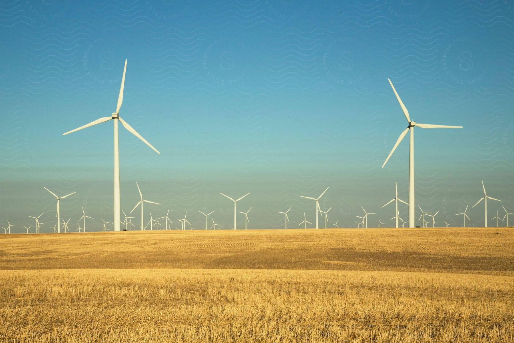 A wind farm next to a cut wheat field