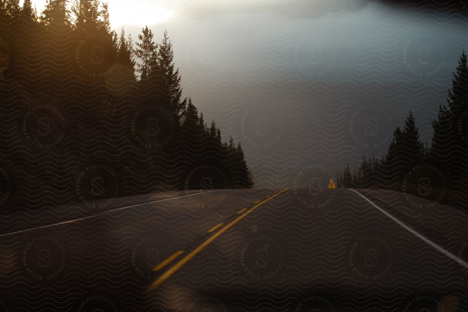 A misty evergreen forest with a highway running through it