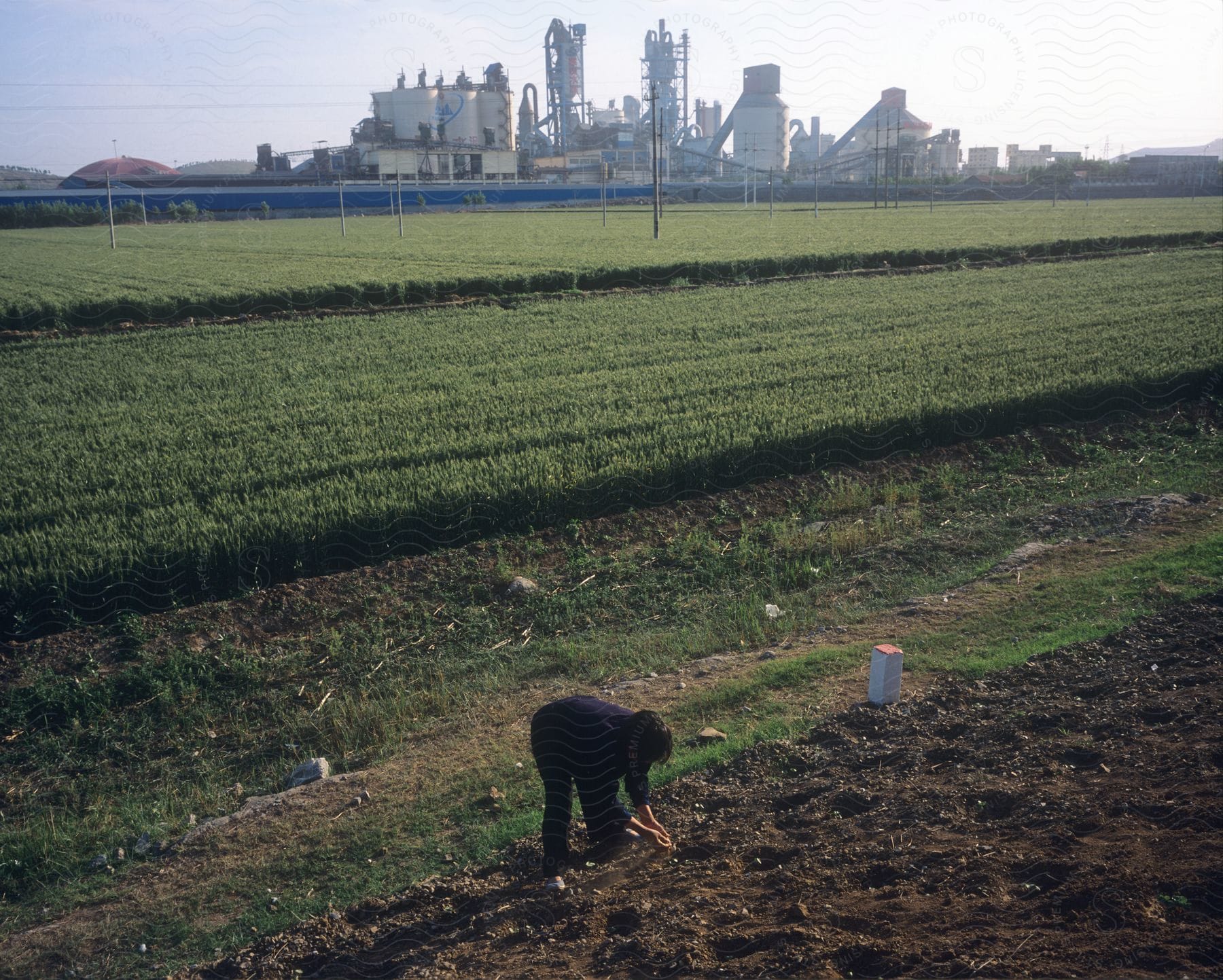 A woman works in a field with a factory in the background