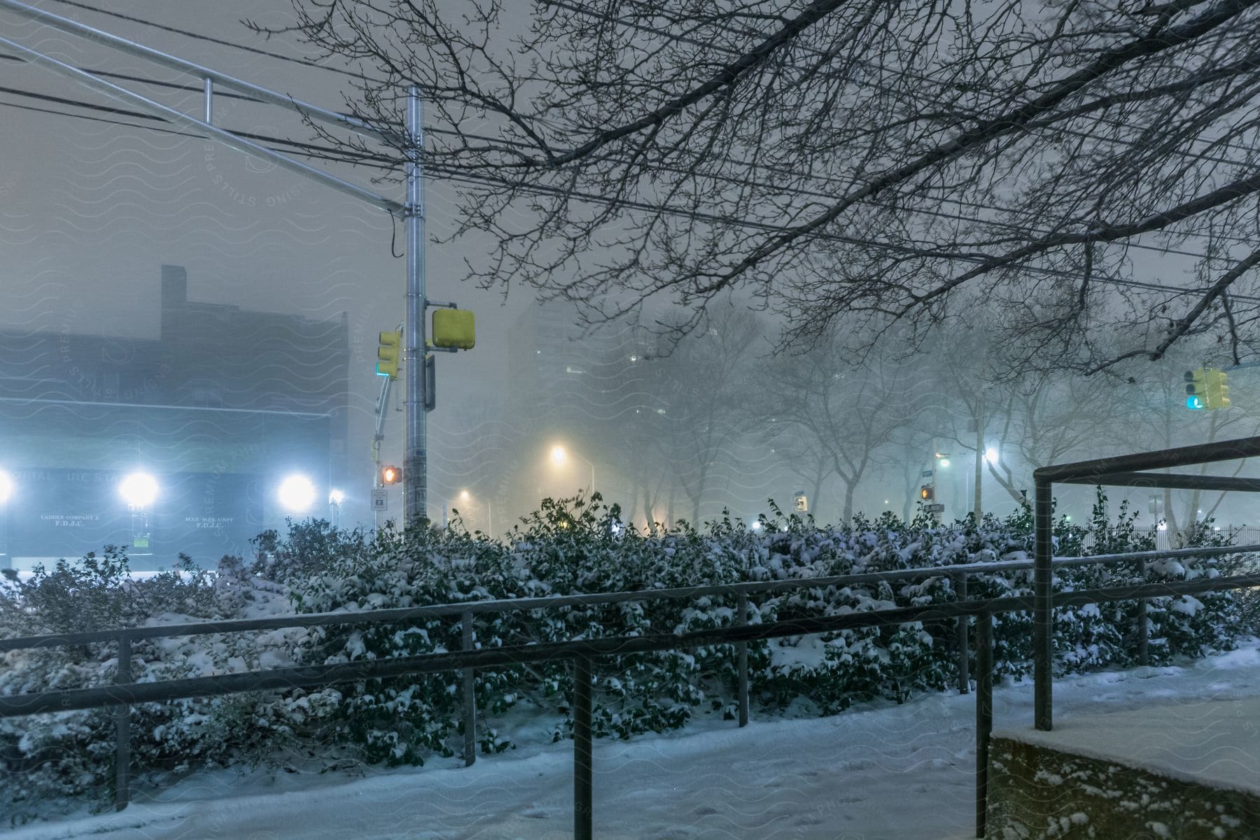 Snow covers shrubs sidewalks and roads on a snowy night in a city