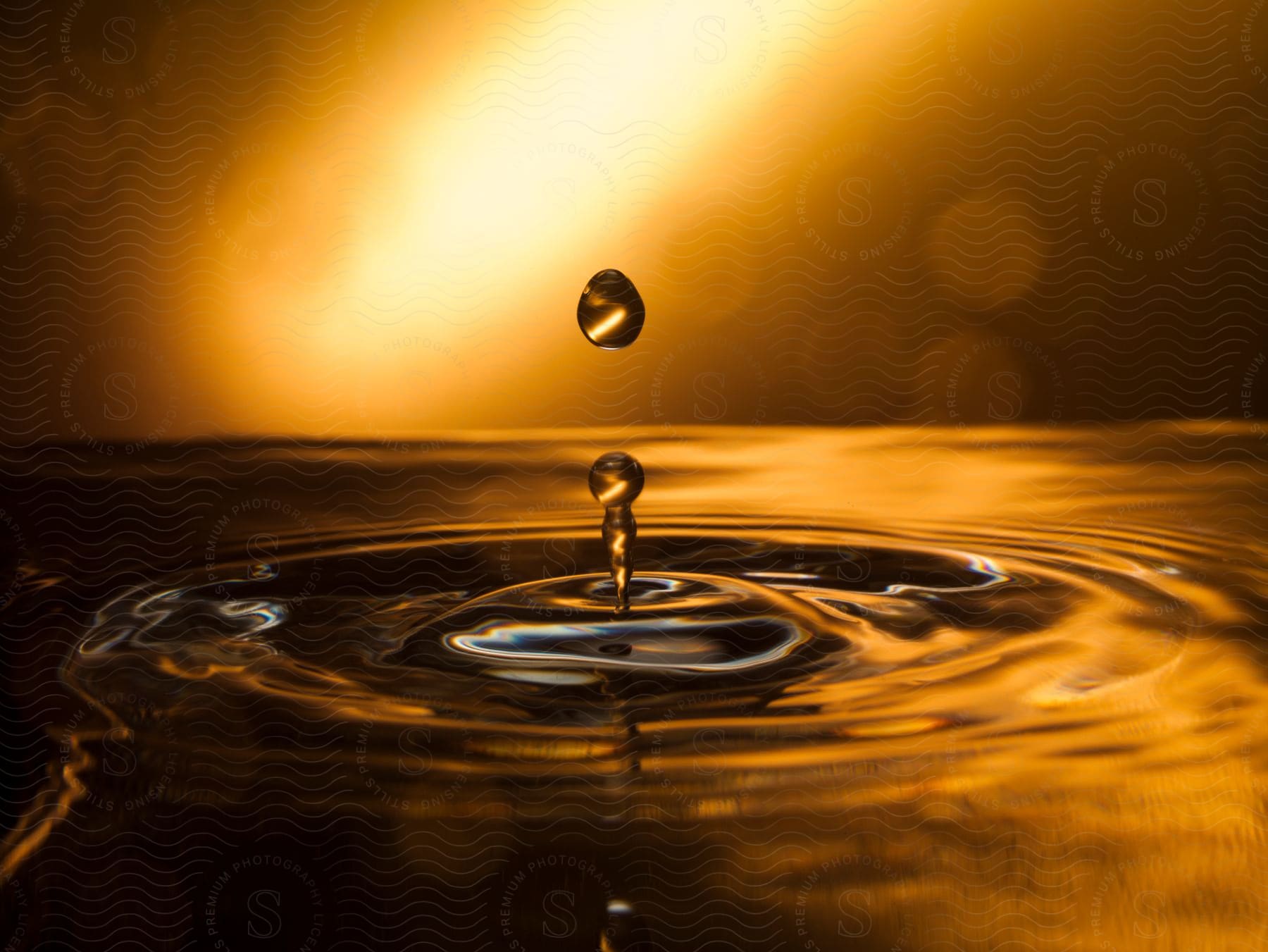 Water drops falling into water and forming rings