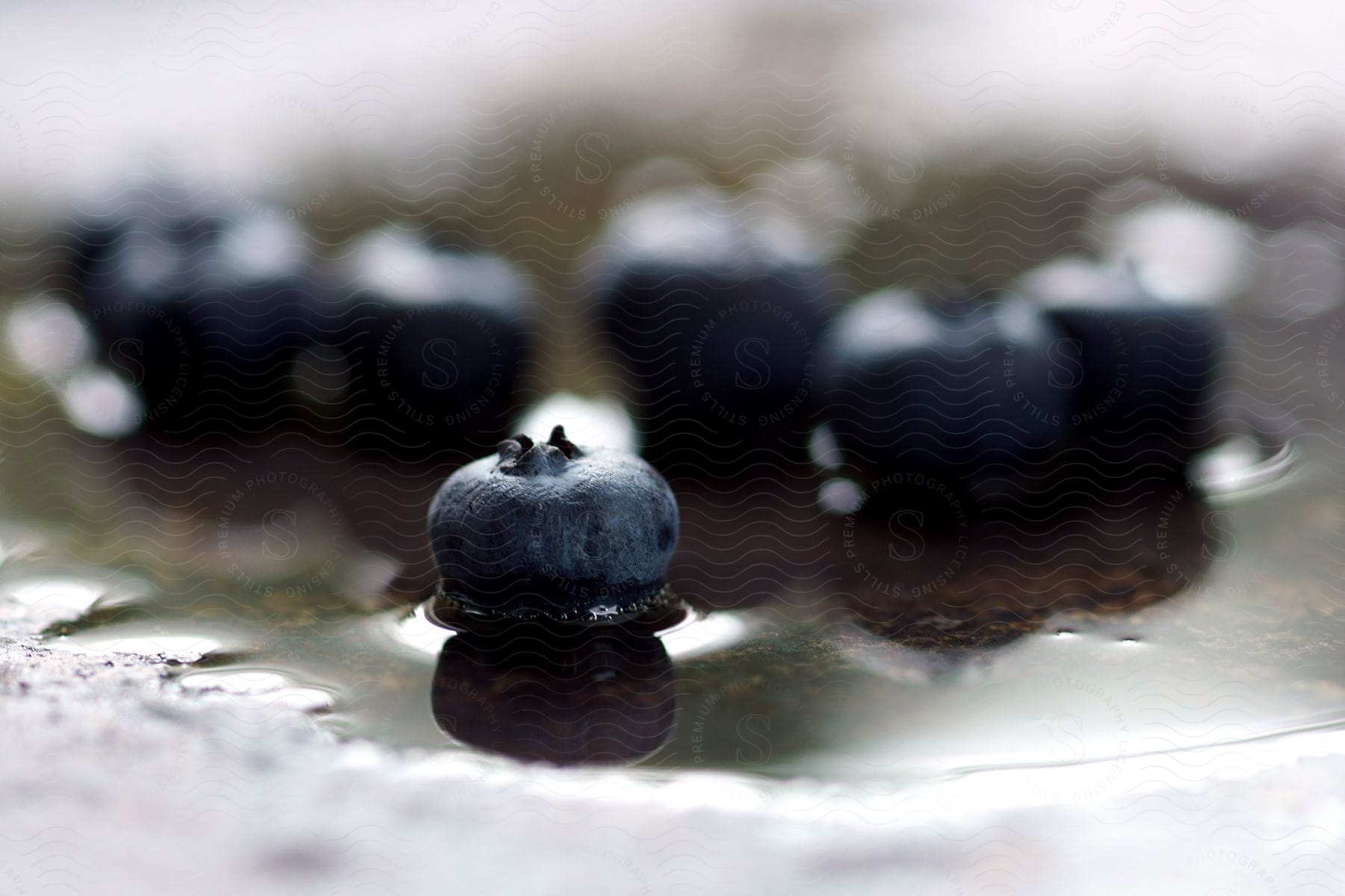 Blueberries in liquid