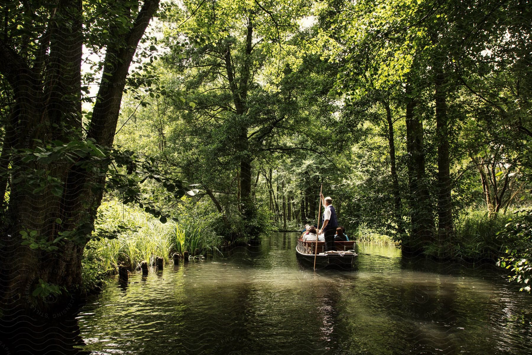 A river passing through a rainforest with a boat carrying a small group of people