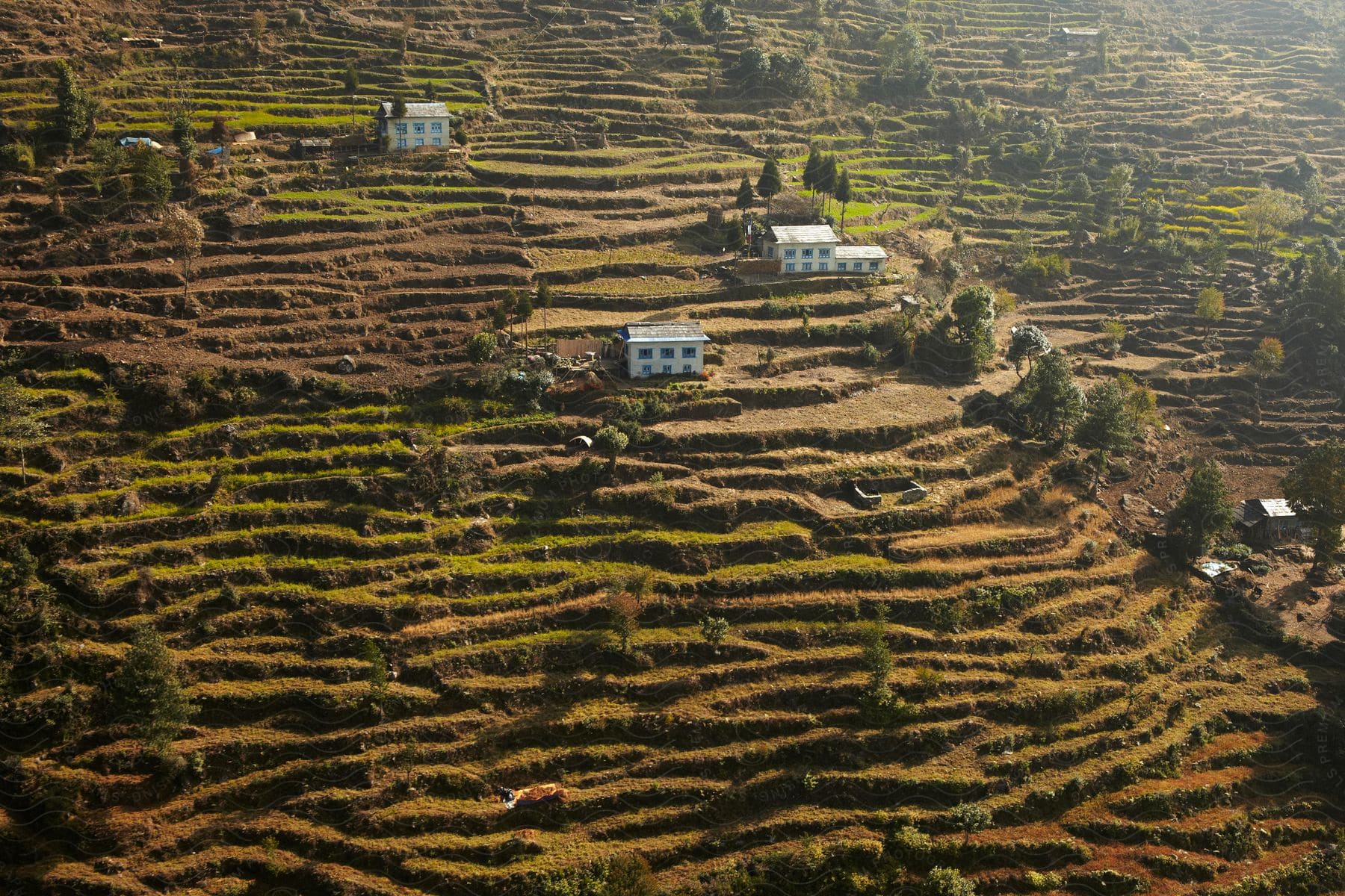 A wide farmland with scattered buildings