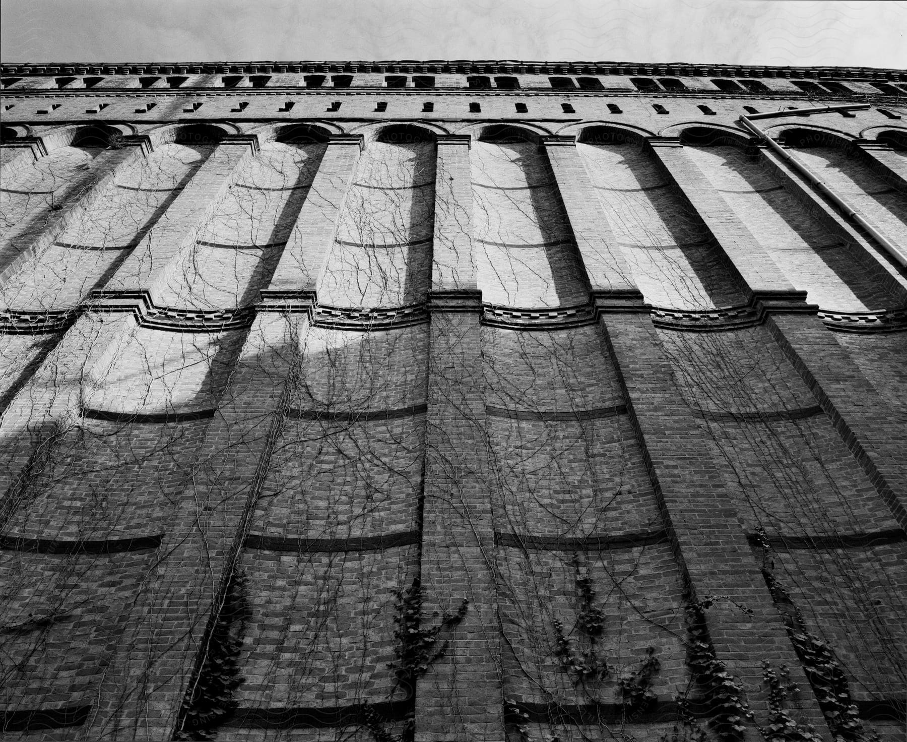 An urban building with windows made of wood and brick in a grey and blackandwhite style