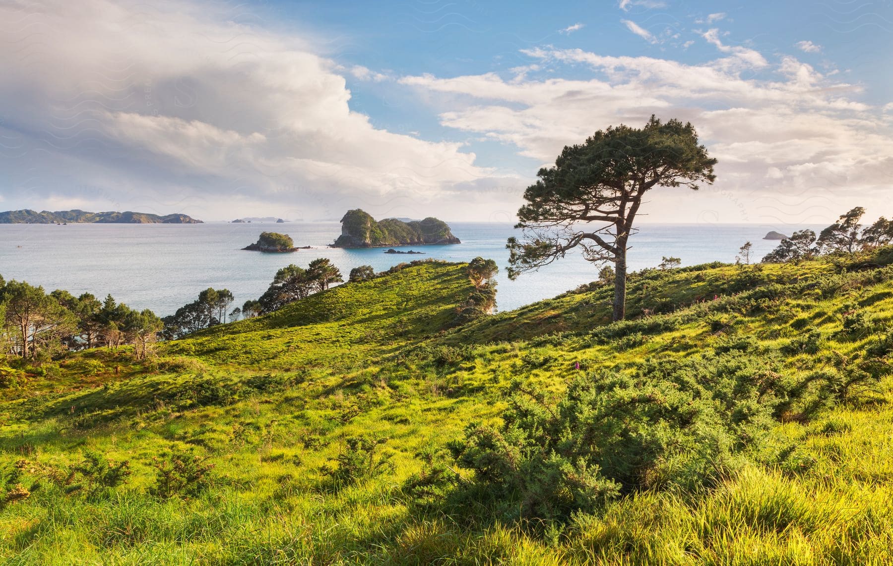 A photograph of an ocean coast during the summer season