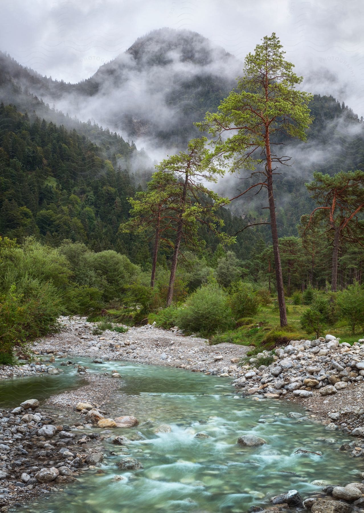 A fogcovered mountain is seen behind trees and a pond with rocks around it on a rainy day near garmisch partenkirchen bavaria germany