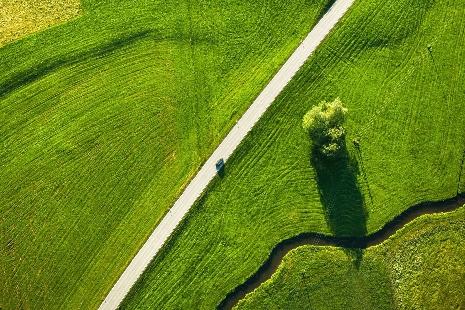 An aerial view of a lone tree in a green field with a road car and stream in a farm