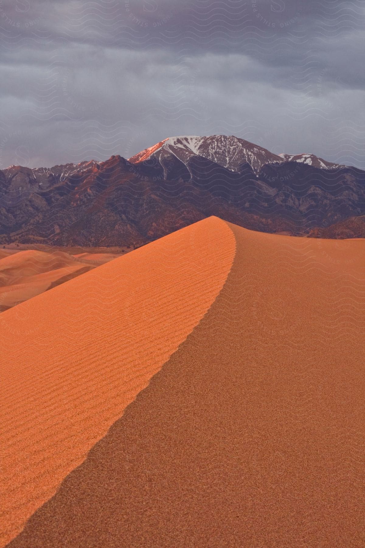 A sand dune in a desert with mountains in the distance on a cloudy day