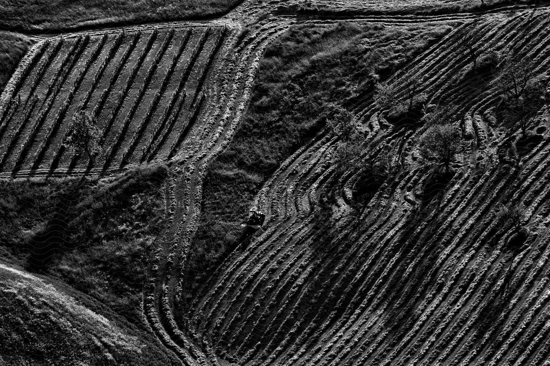 Aerial farmland on hill slope