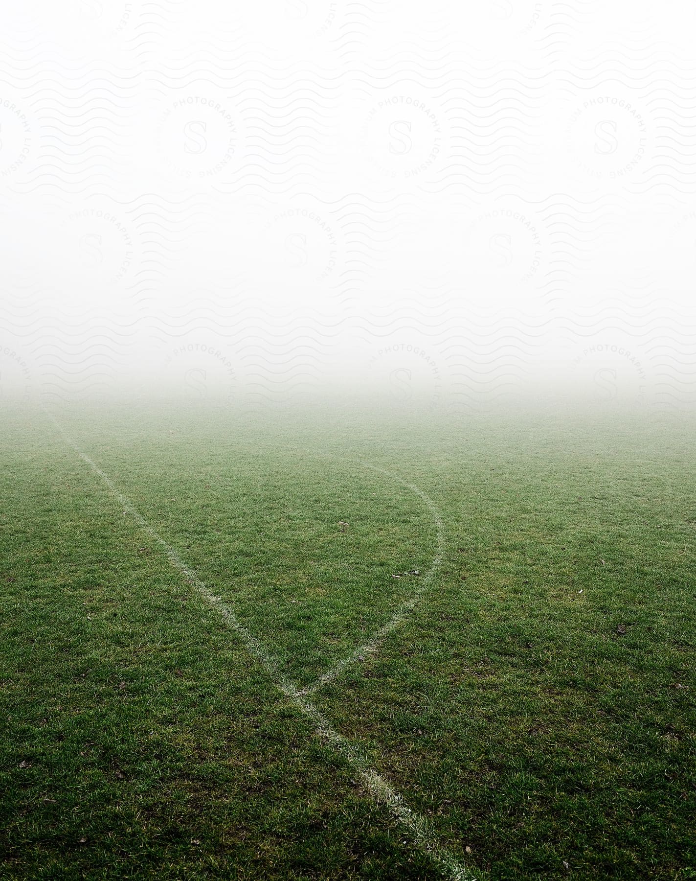 Green grass on a sports field under the white mist