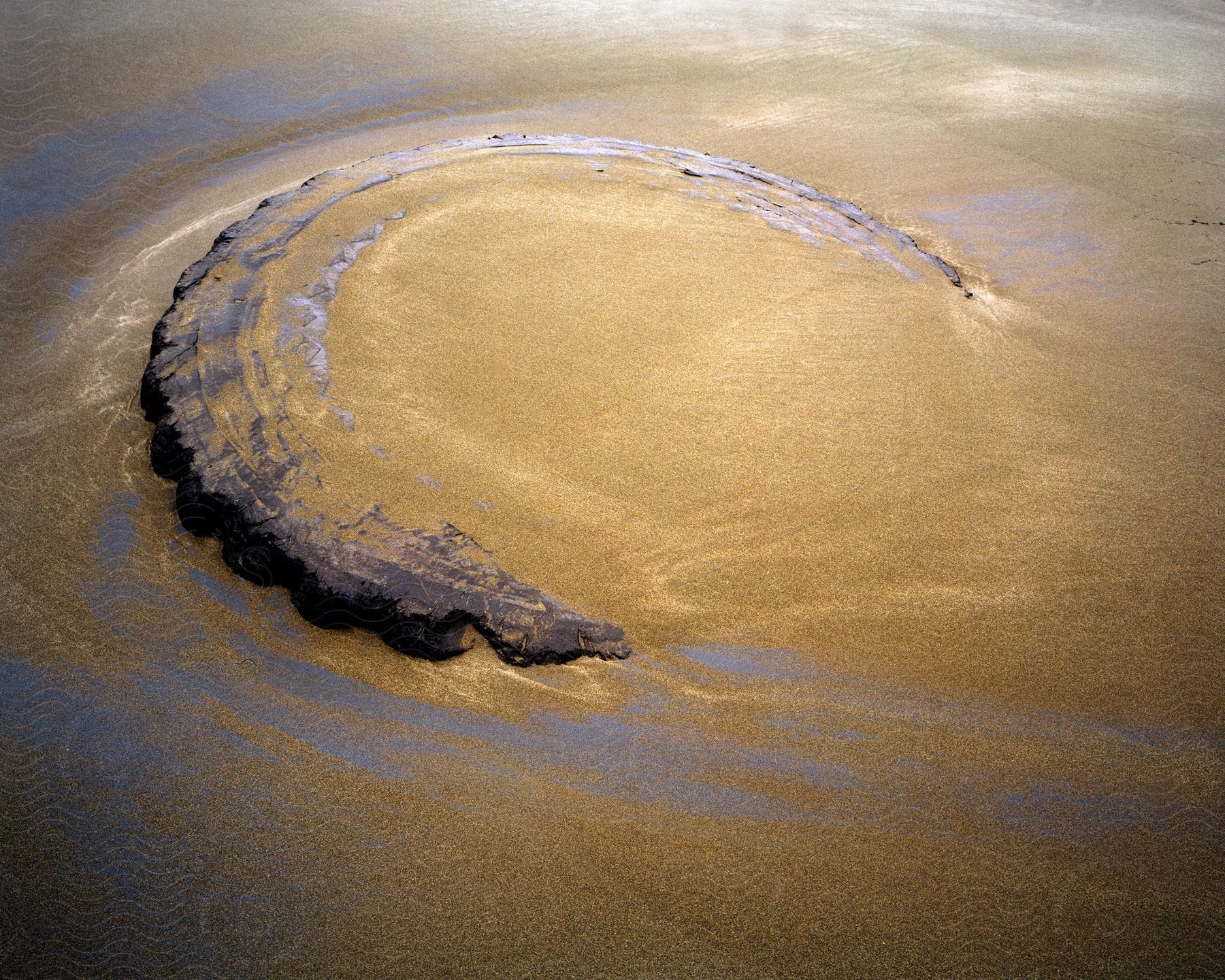 A tire half buried in wet sand on a beach