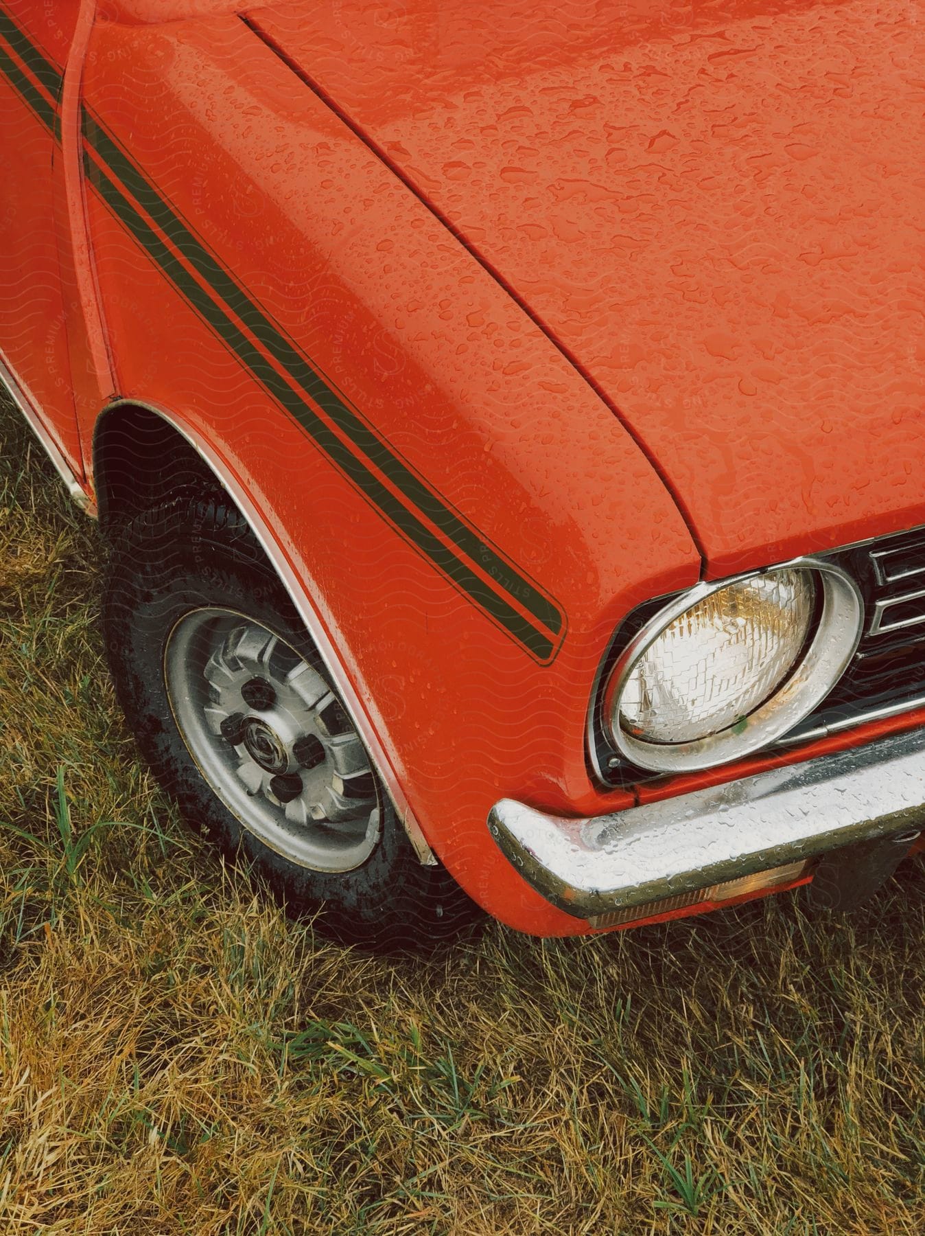 Rain drops on the hood of an orange car with two black stripes