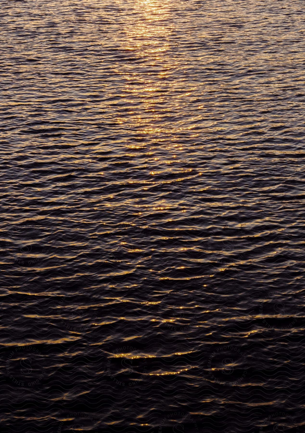 Ocean With Rippling Waves And Faint Sun Reflection