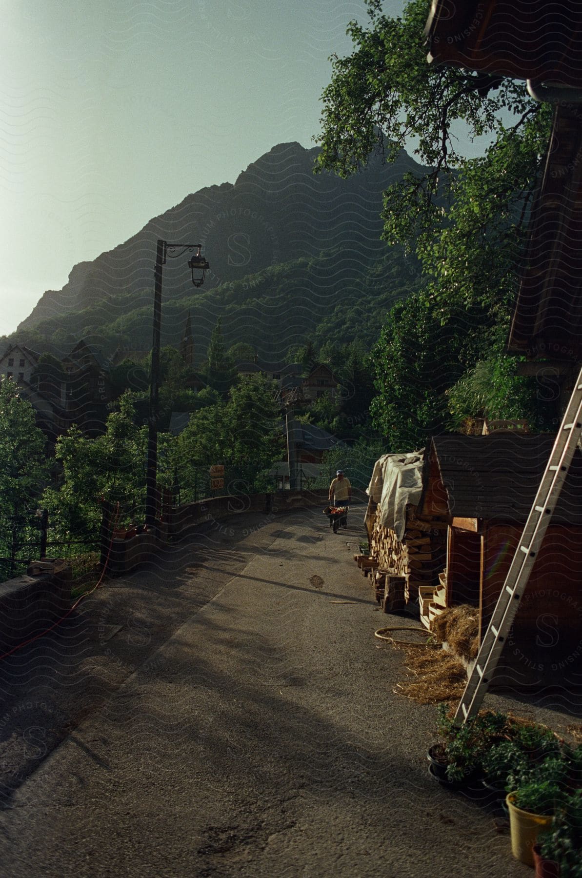 A person explores a city with buildings and trees along a road