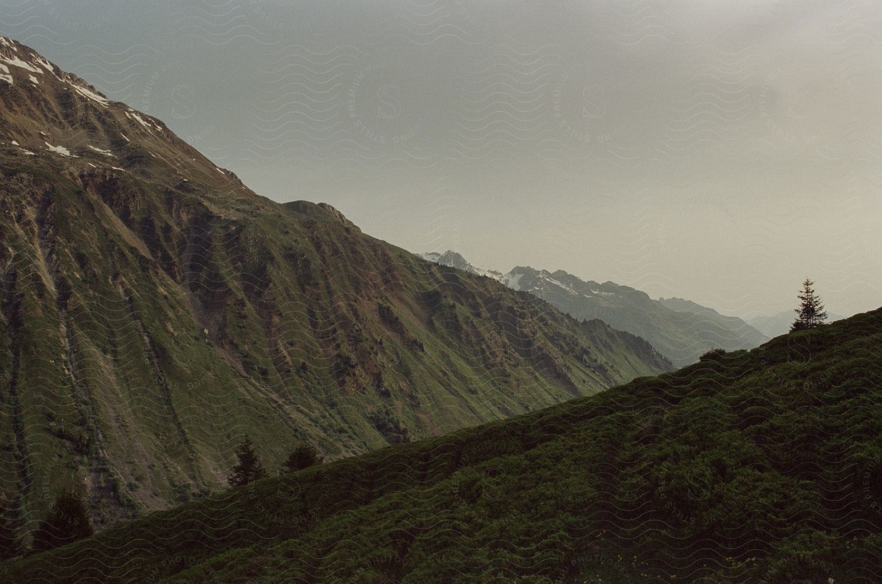 Natural landscape of forests and mountains in the french alps on 35mm film