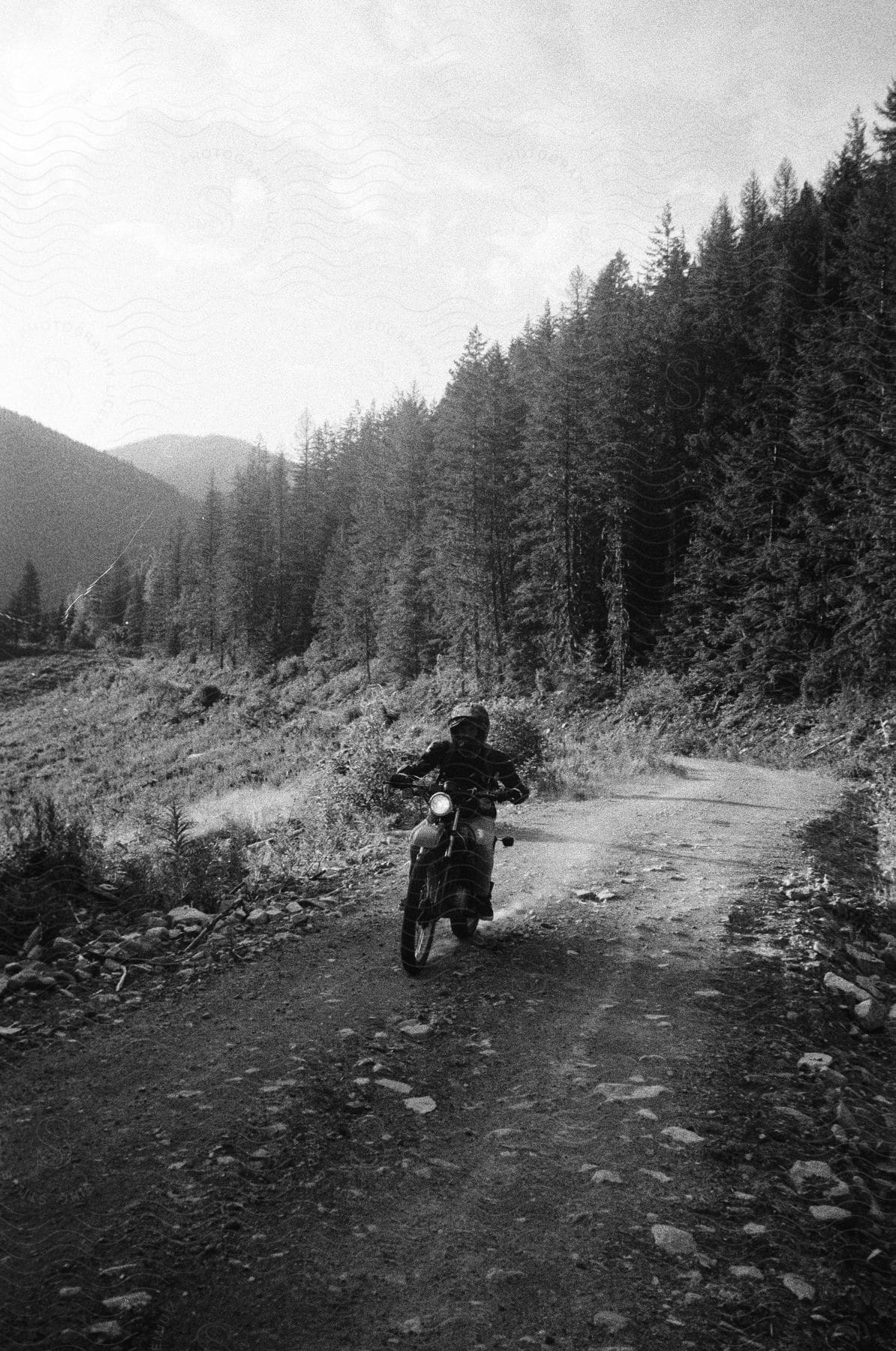 Biker rides dirt bike along country road near forest
