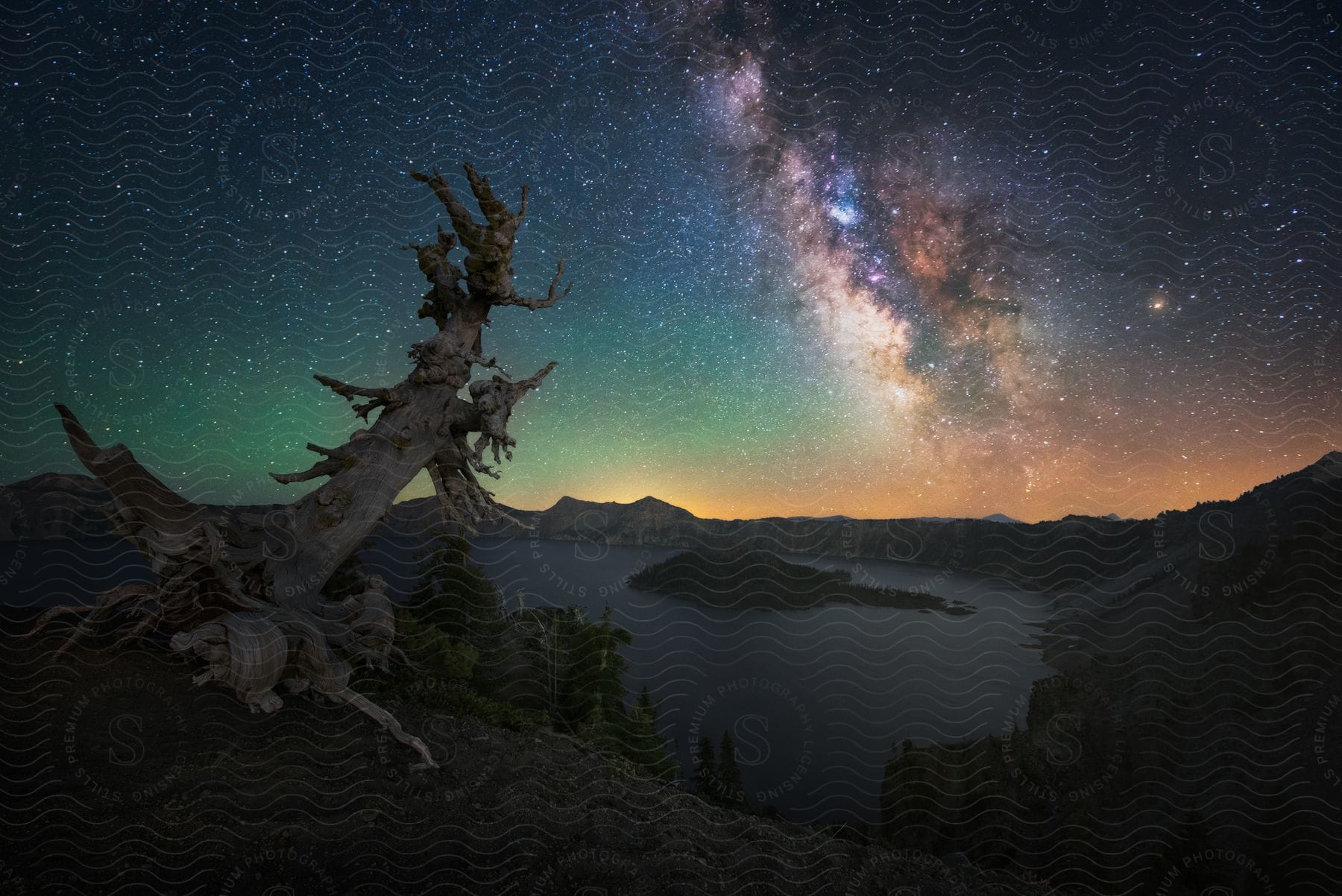 An old dead tree extends over water as stars of the milky way shine in the night sky above mountains across a lake