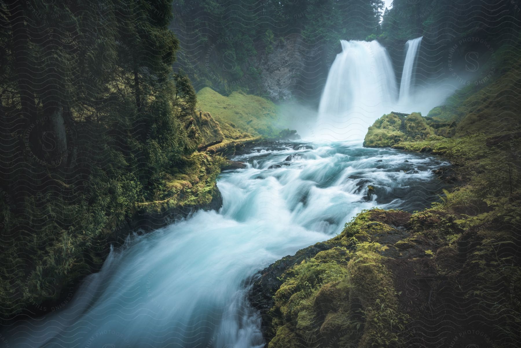 A river in a forest is being fed by a waterfall