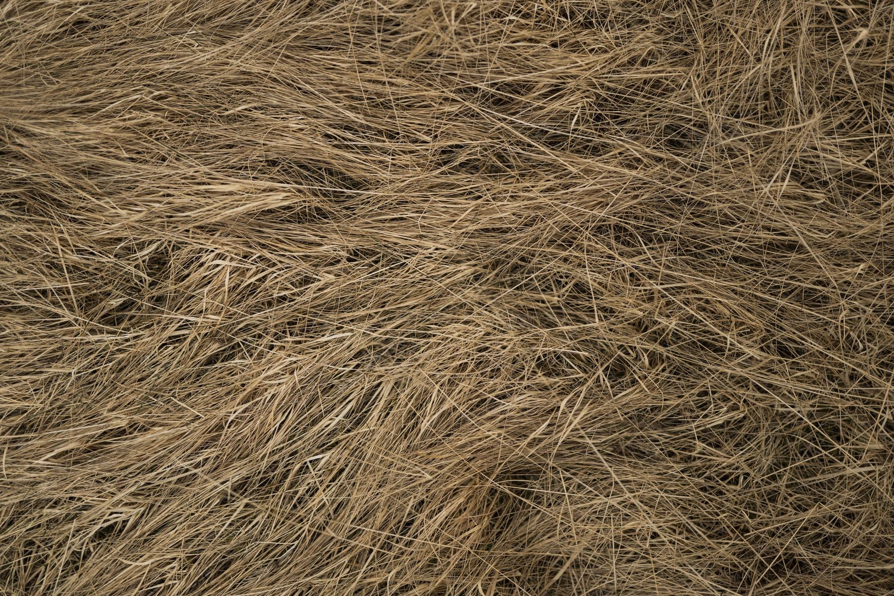 A pile of hay