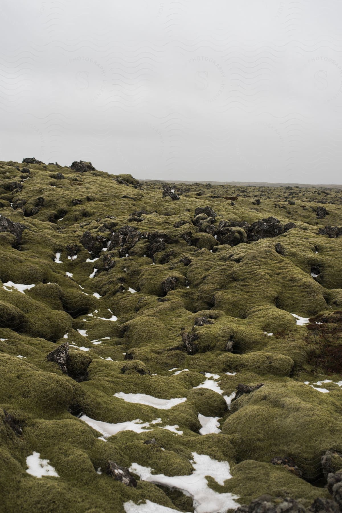 A Spring Landscape With Vegetation And A Sloping Bedrock Under A Clear Sky