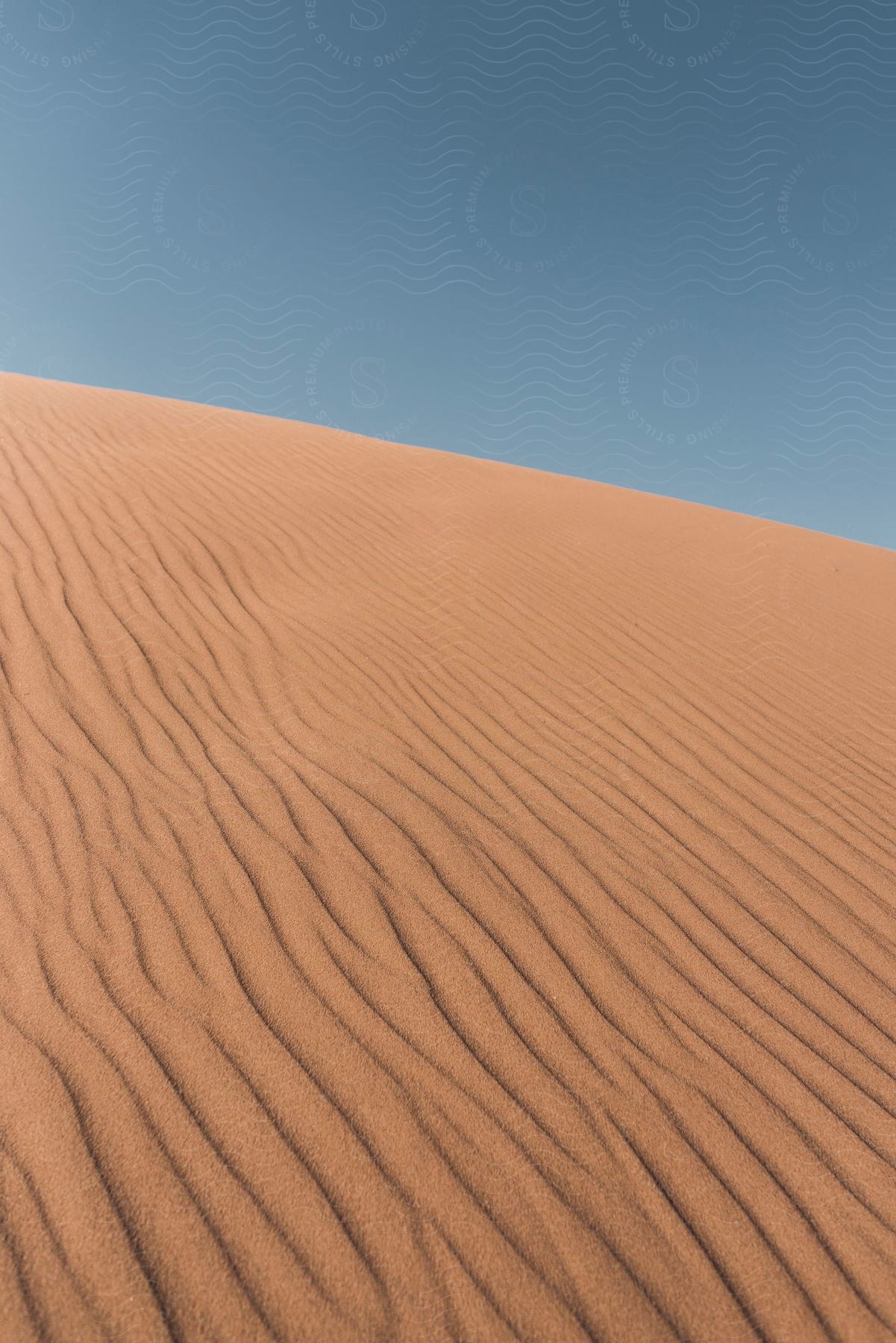 Ripples in the sand in a desert landscape