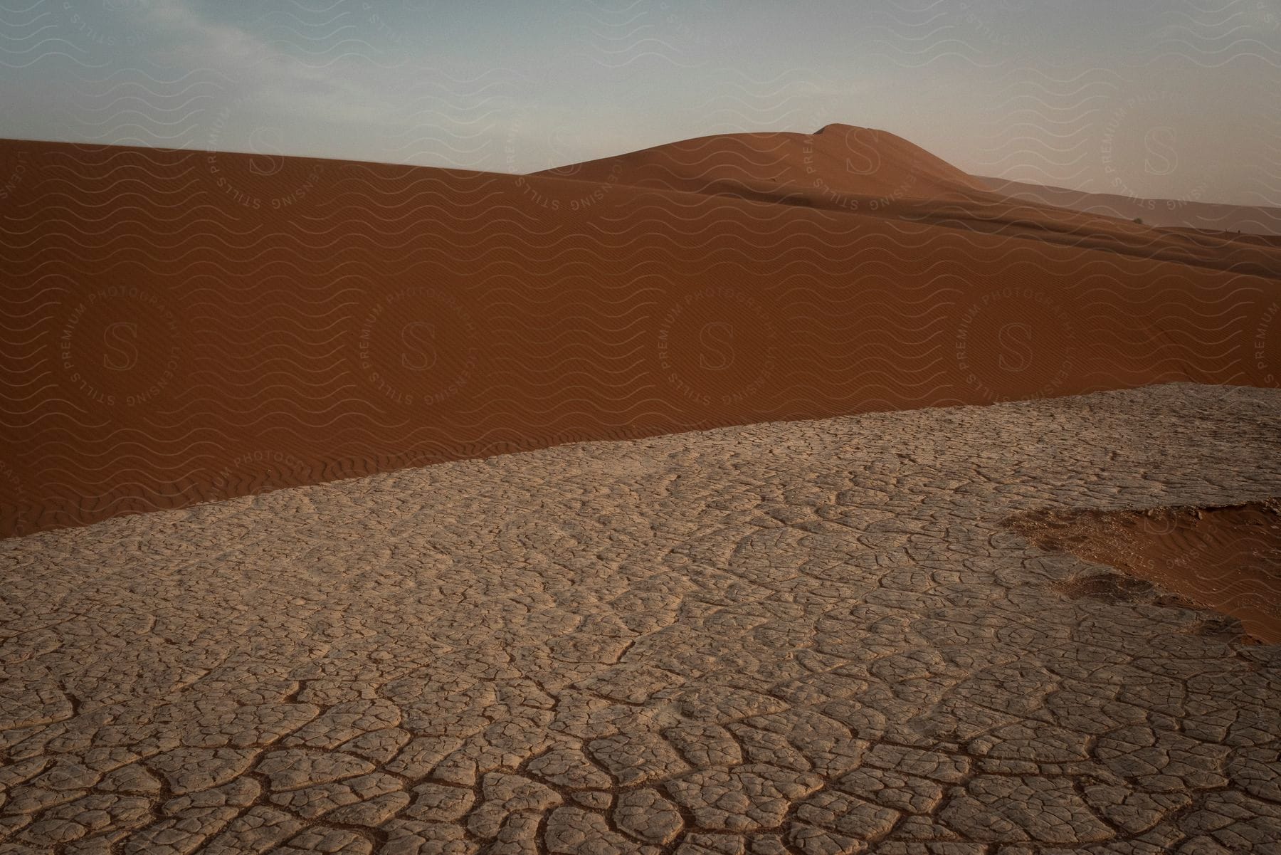 Dry ground at the base of desert hills