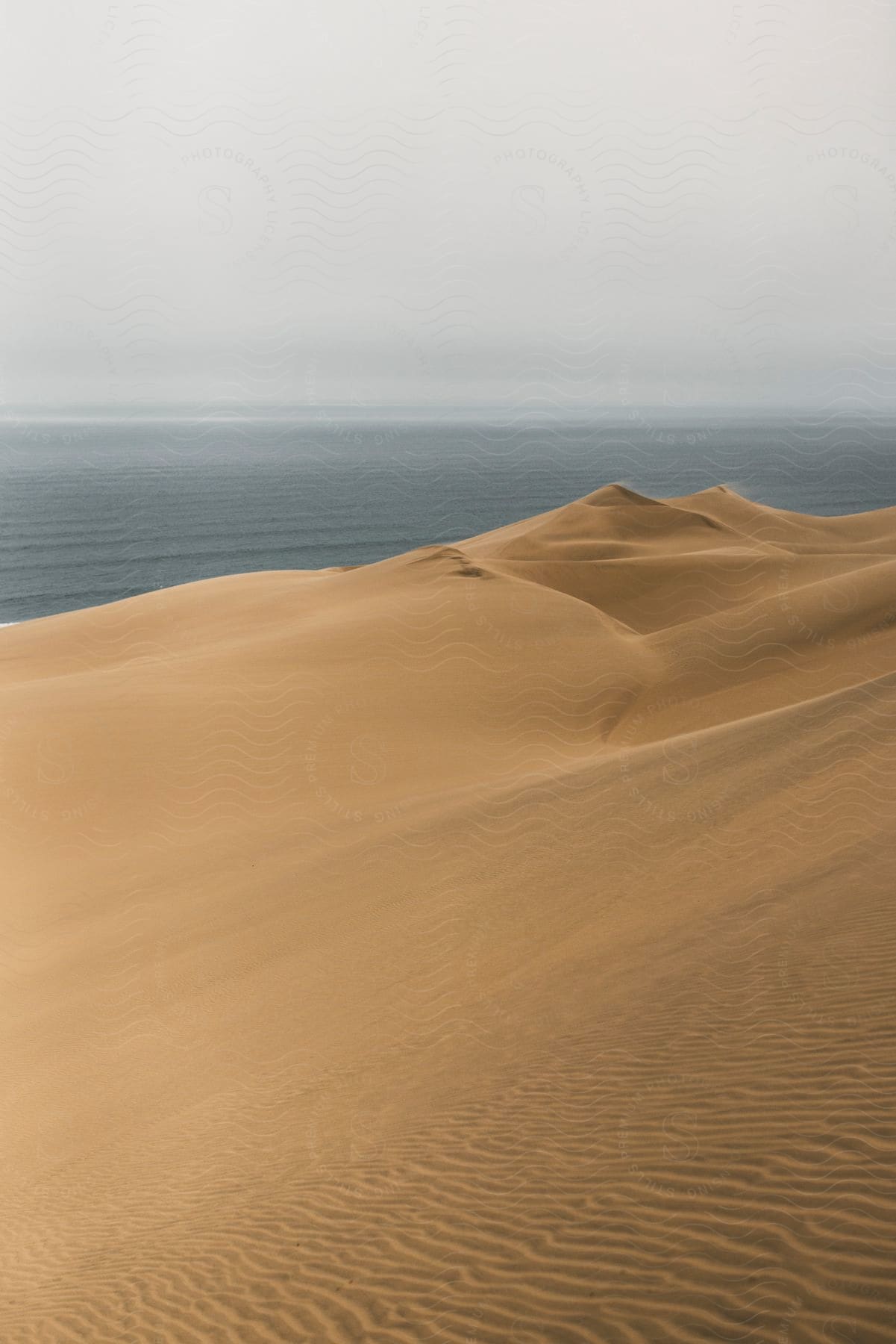 Desert and ocean meeting under overcast skies