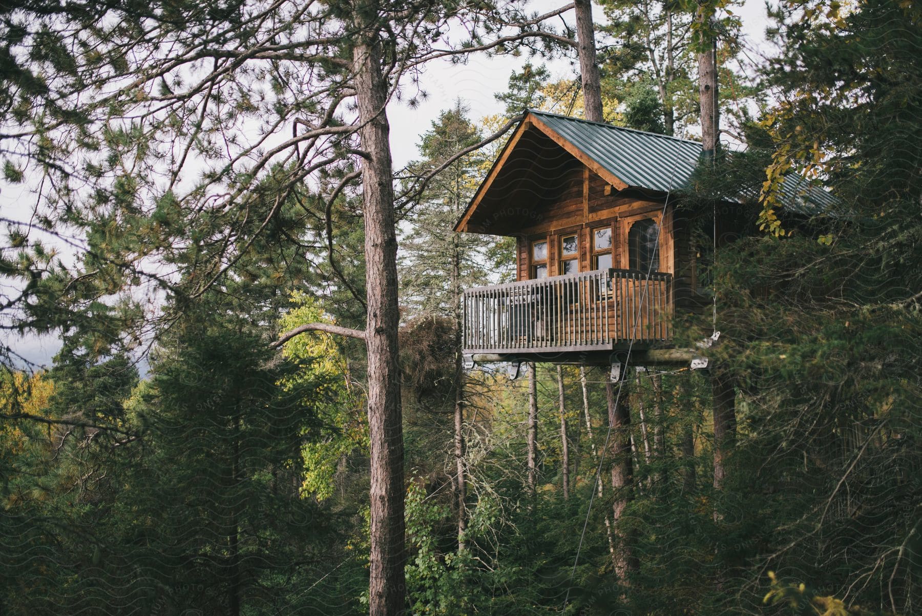 A cabin nestled among the trees in a forest