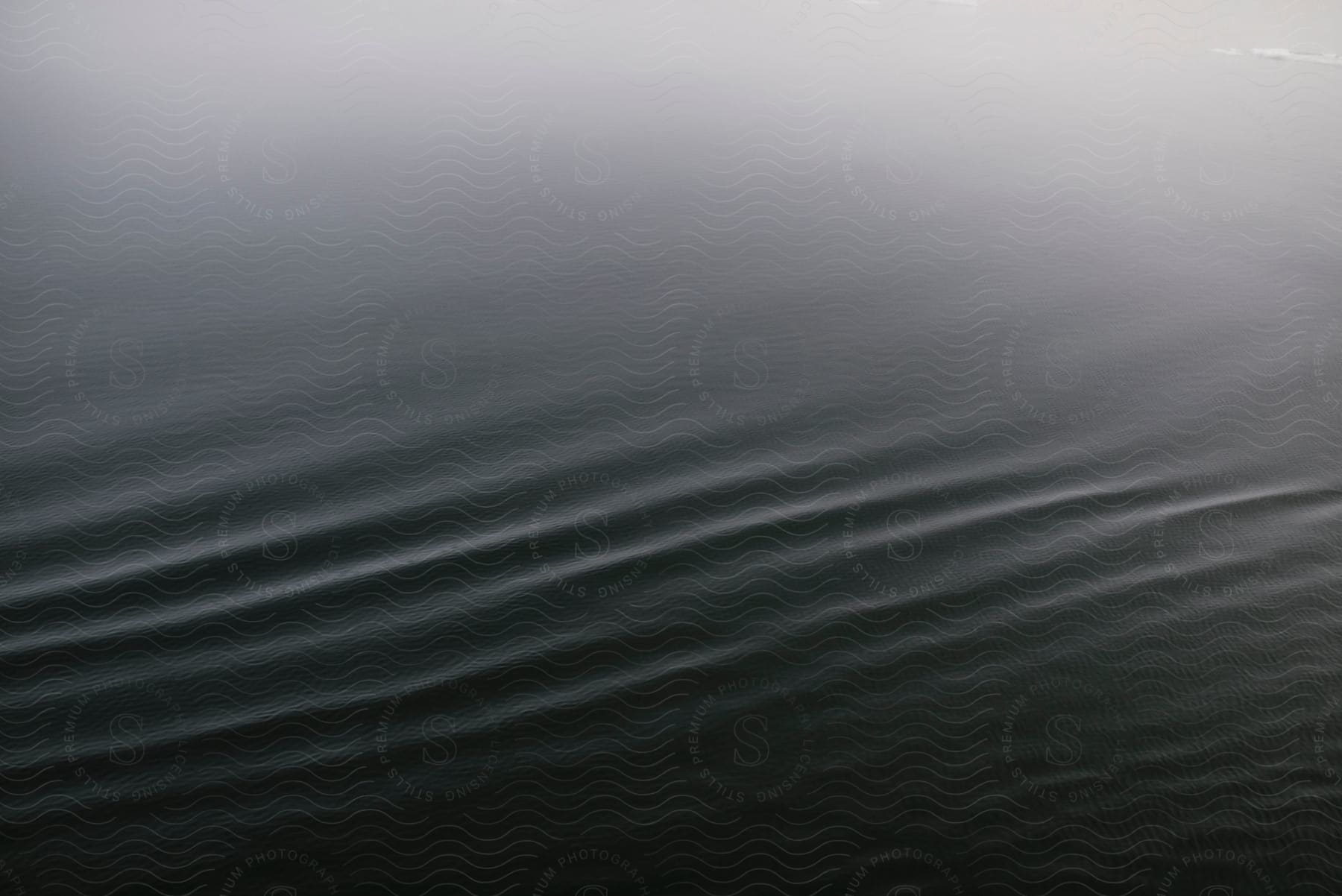 Waves and ripples in a body of water