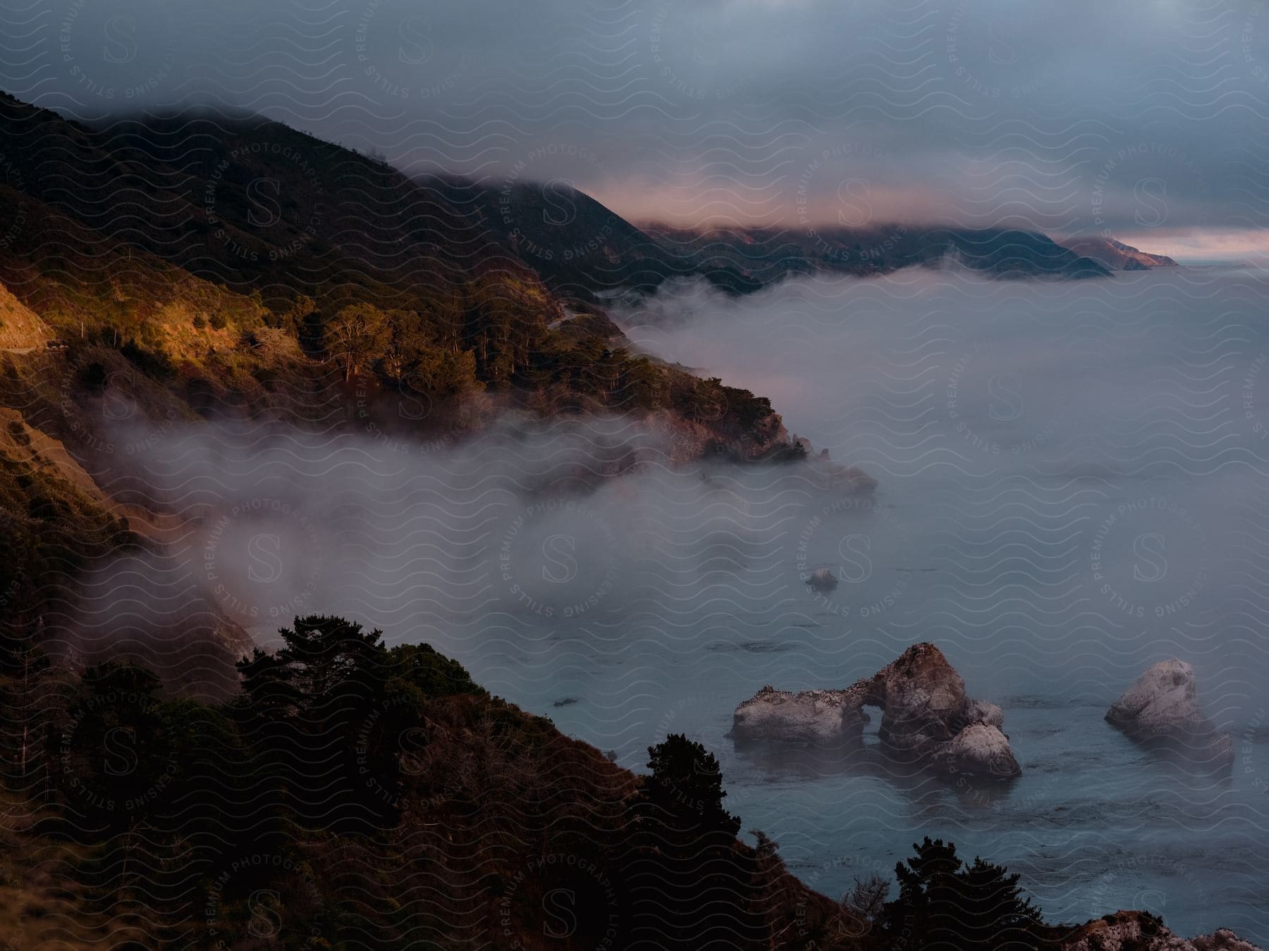 A forested coast with rocky sea