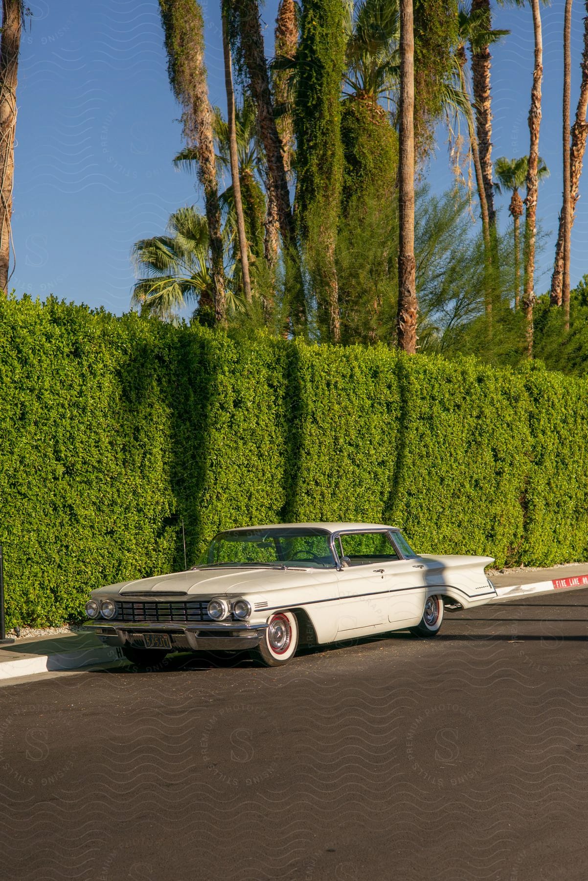 Vintage car parked on road near hedges and palm trees under clear blue sky