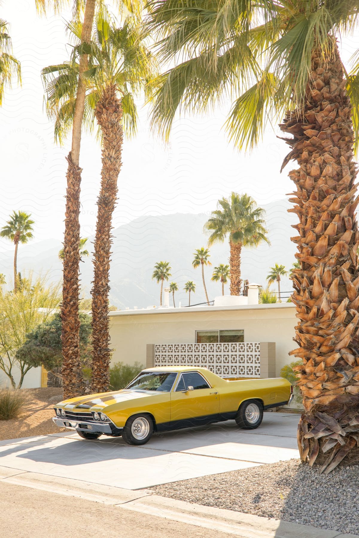 A yellow car parked in a driveway next to a modern home with tall palm trees on a sunny day