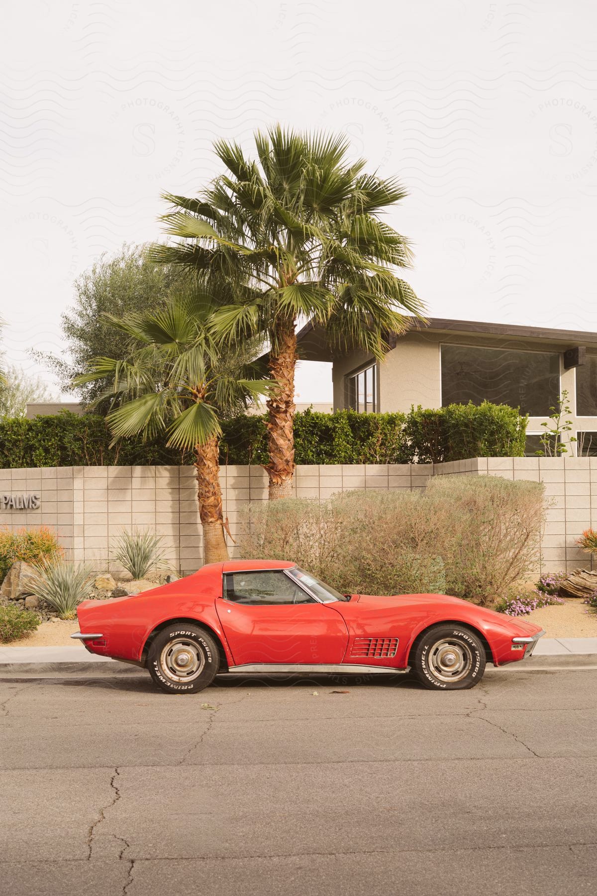 A red sports car parked on a street in front of a wall with the word palms on it with two palm trees and some bushes