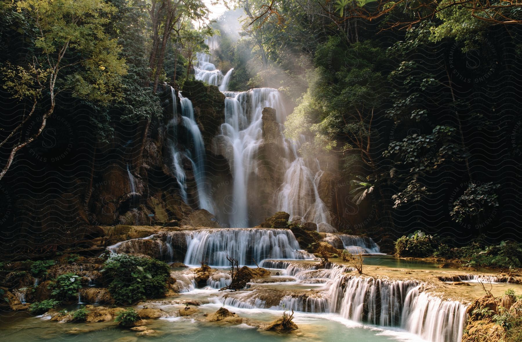 Waterfall in a forest stream surrounded by trees and vegetation