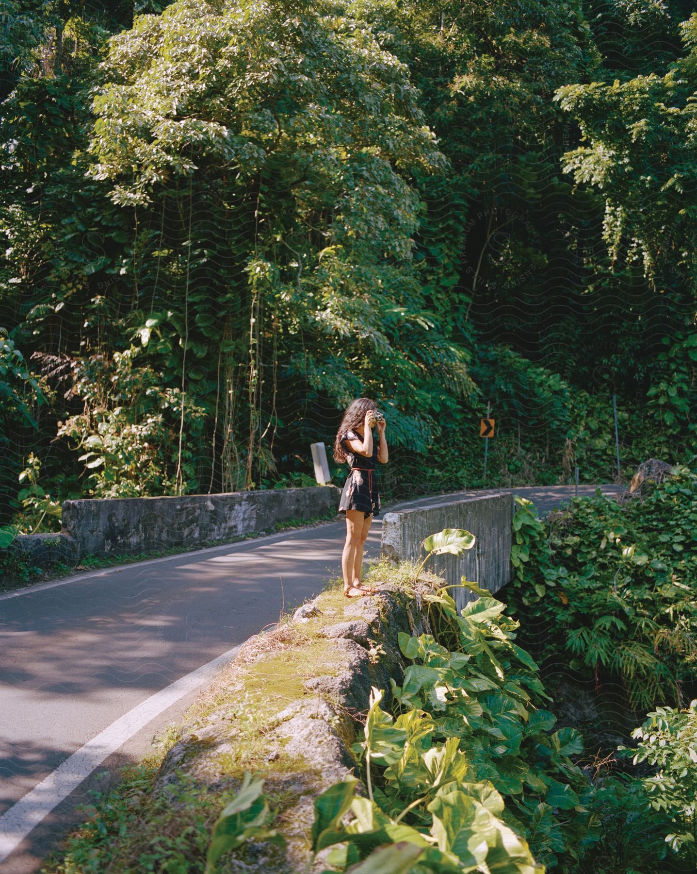 A woman with curly hair wearing a black tshirt and shorts is taking photos with a camera on a road through a forest