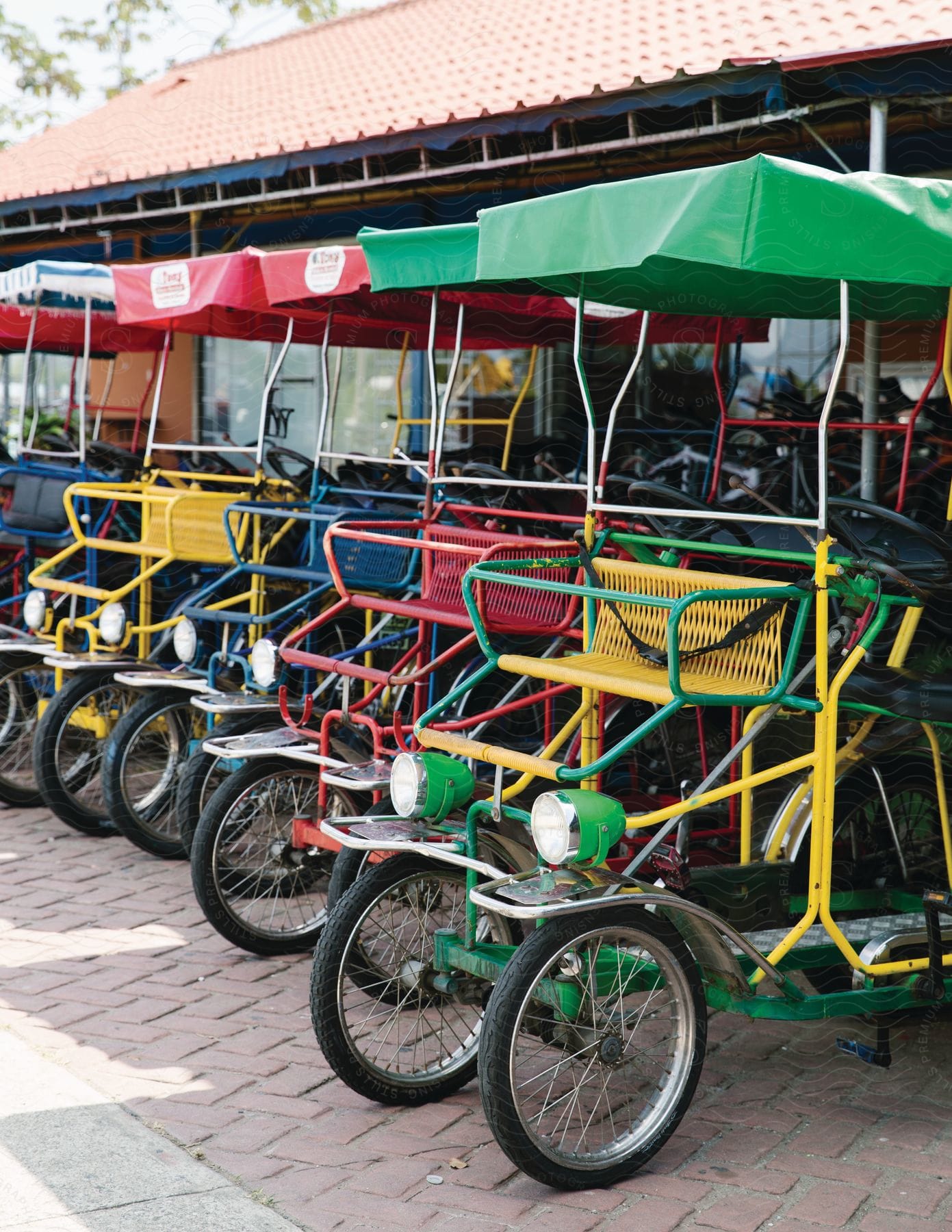 An open store with a display of bicycles