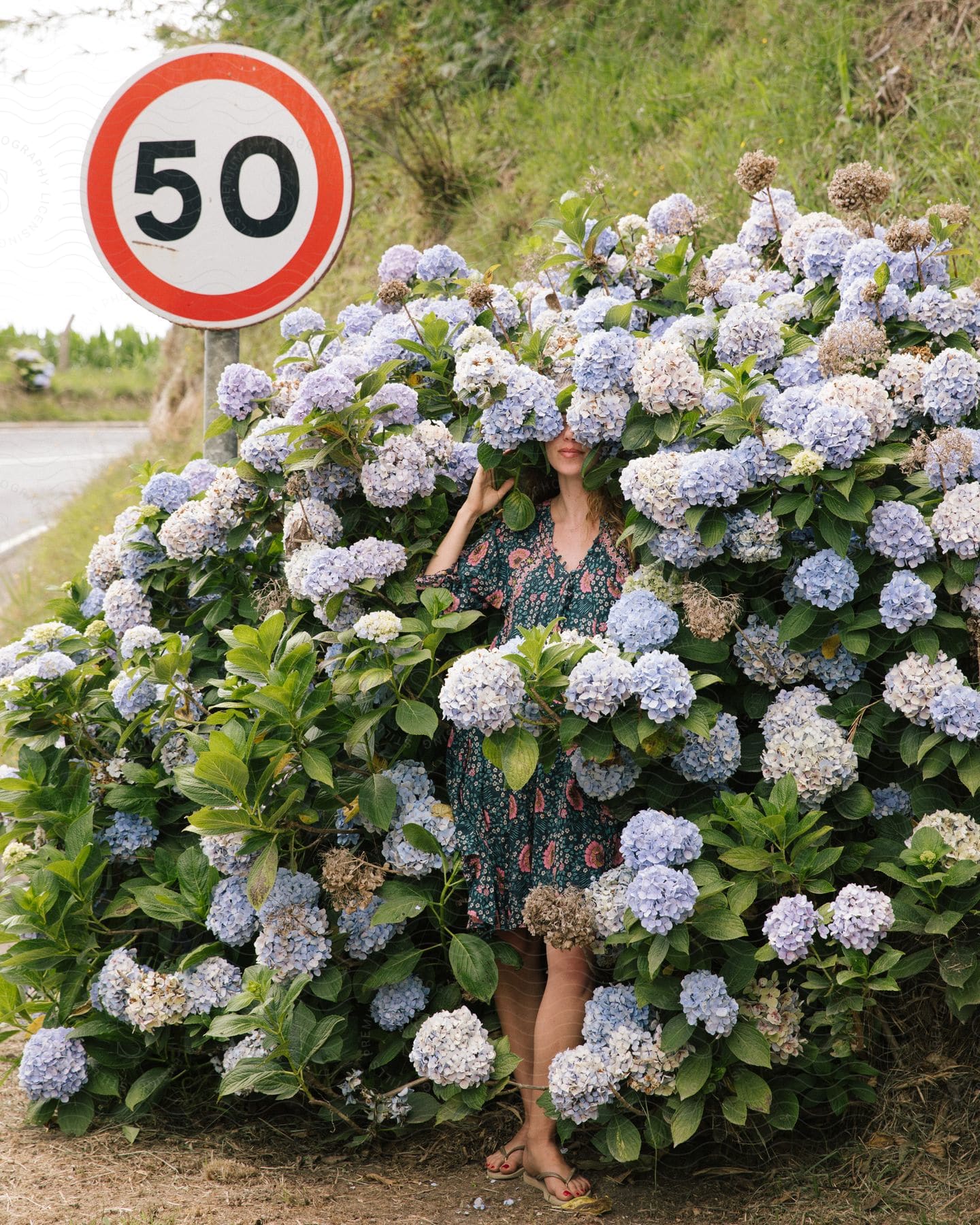 A woman stands near a flowercovered bush next to a speed limit sign