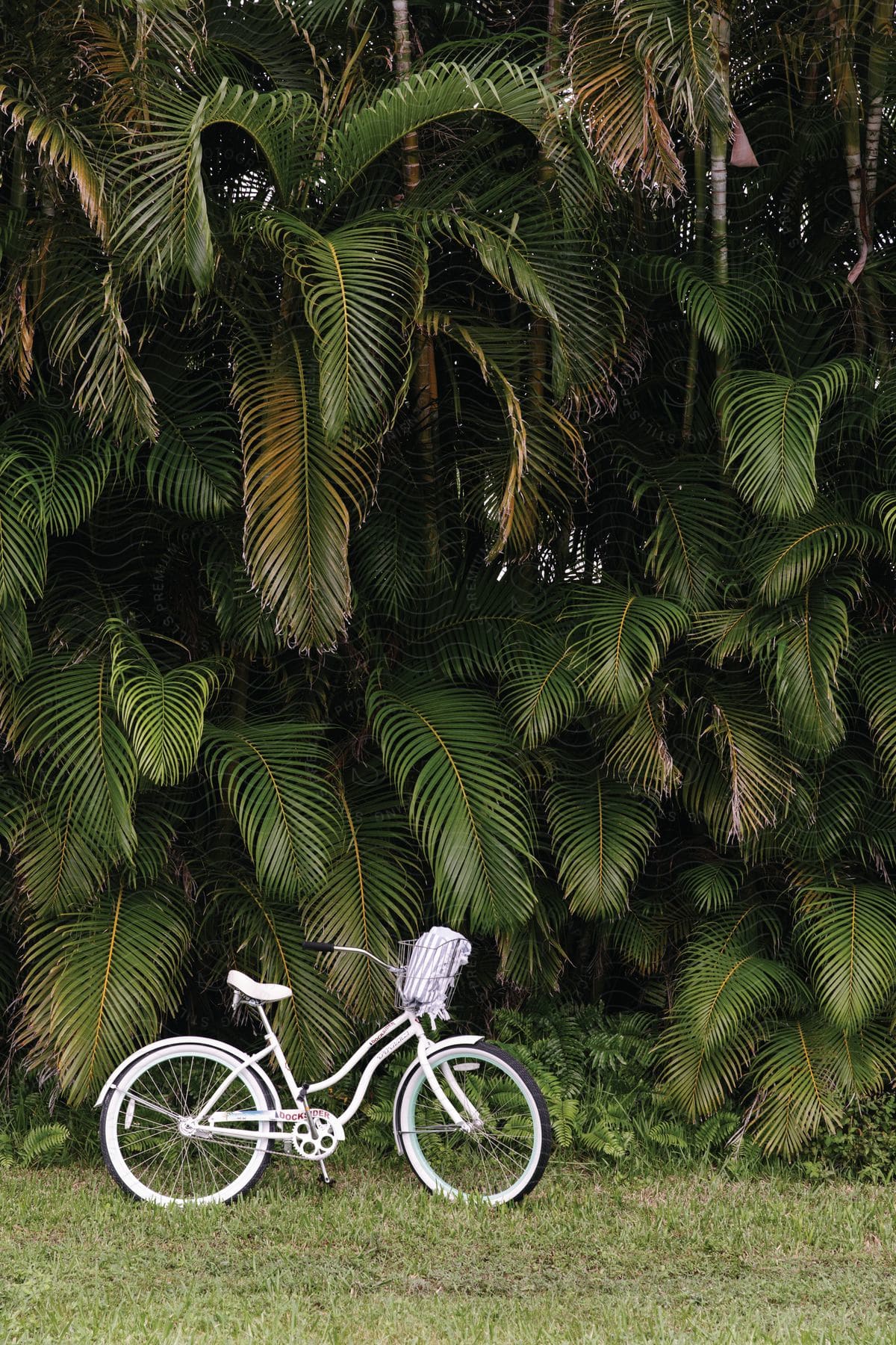 A white bicycle parked in the grass in front of a wall of palm leaves