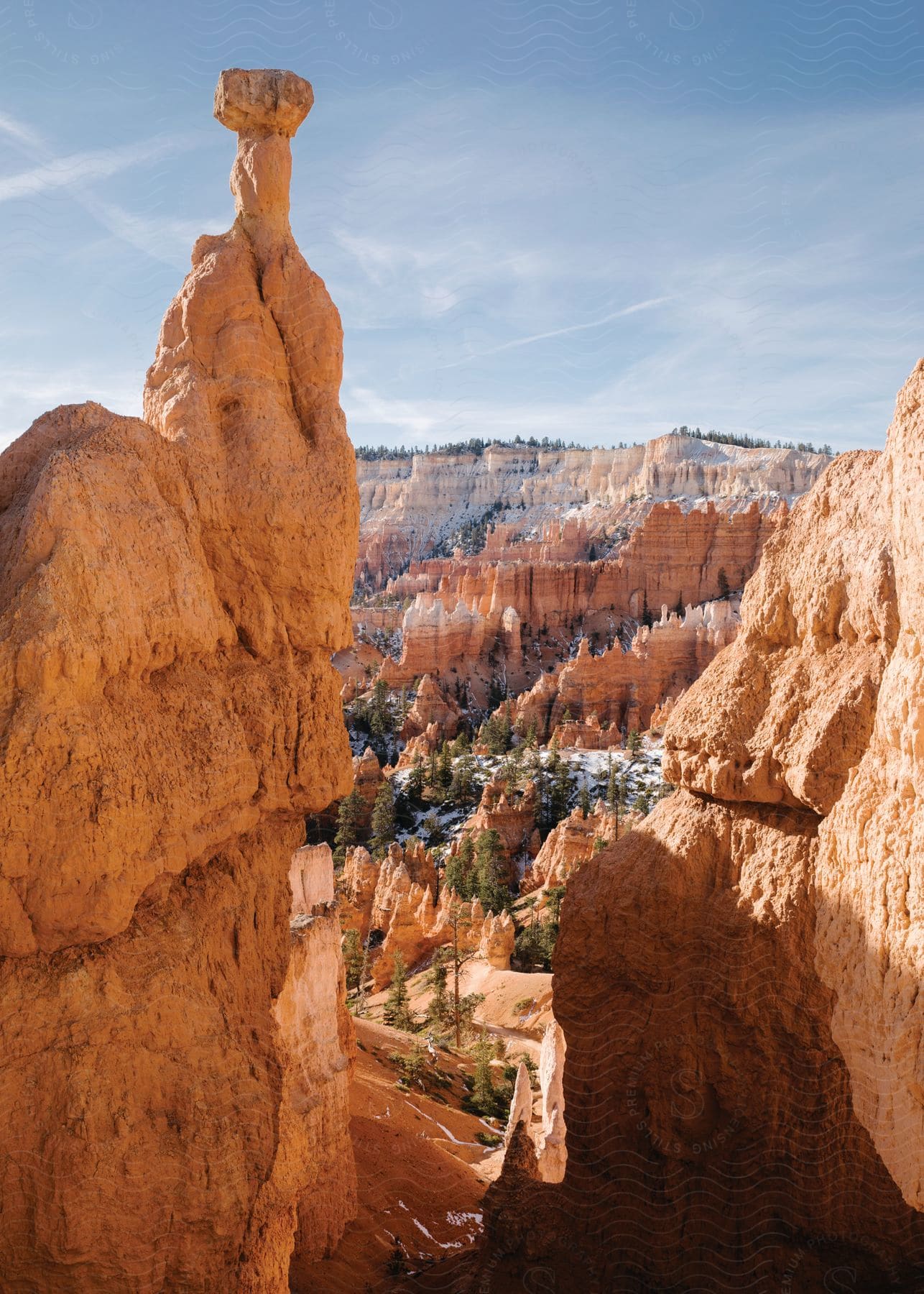 Cliffs surrounding a tree and snowcovered canyon in a winter landscape