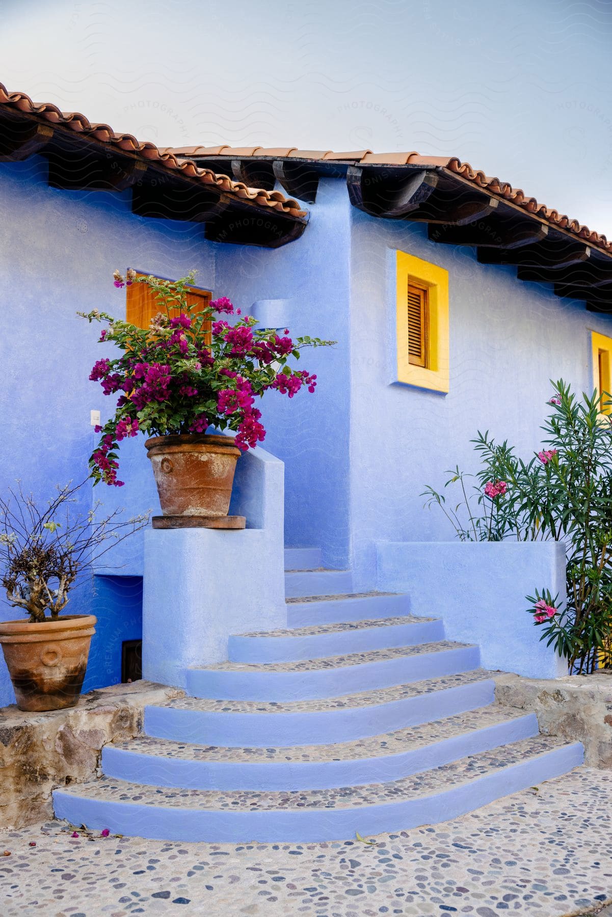 Charming blue house with yellow windows a little staircase and potted plants at the entrance