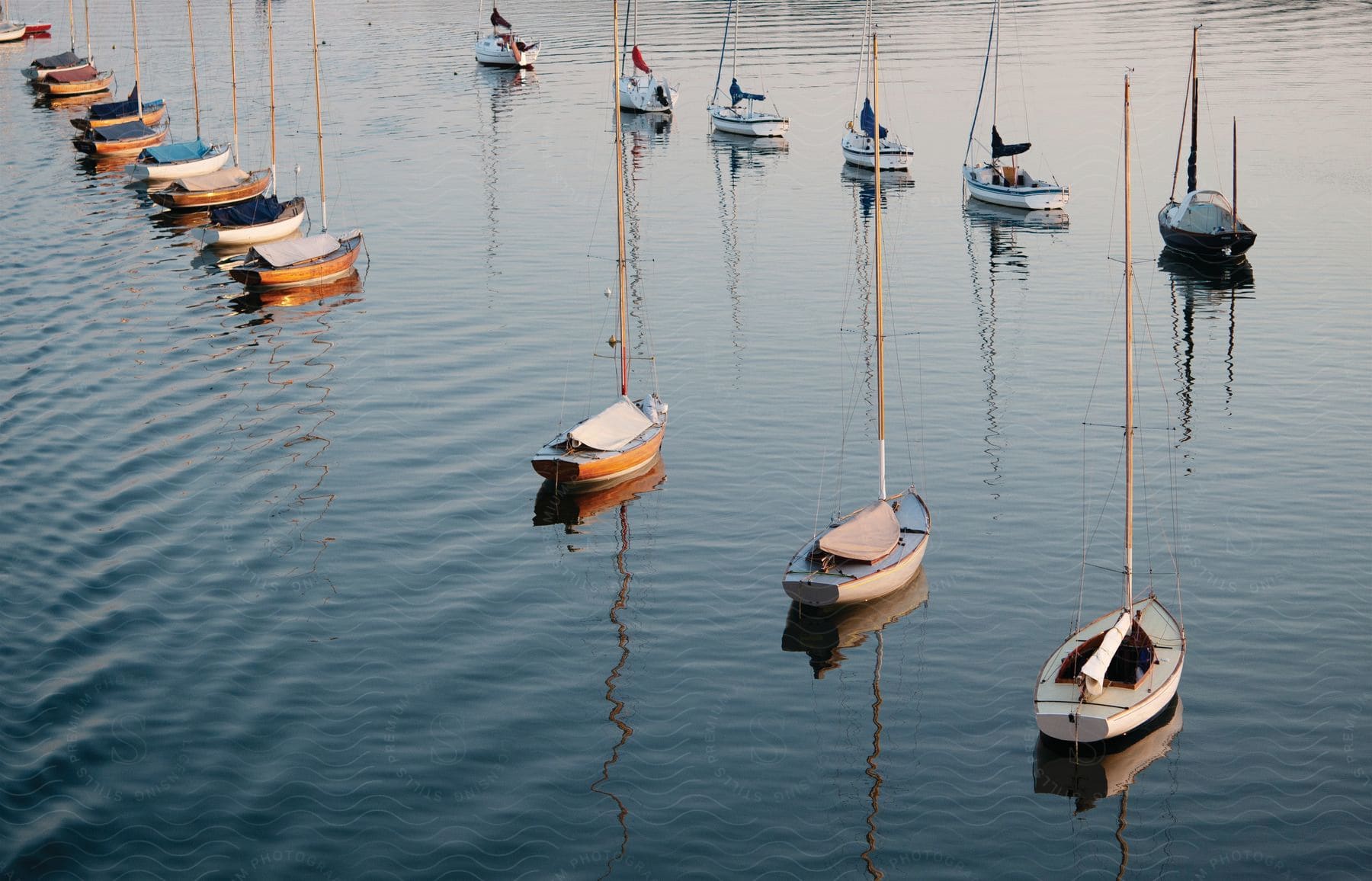 Rows of sailboats on the water