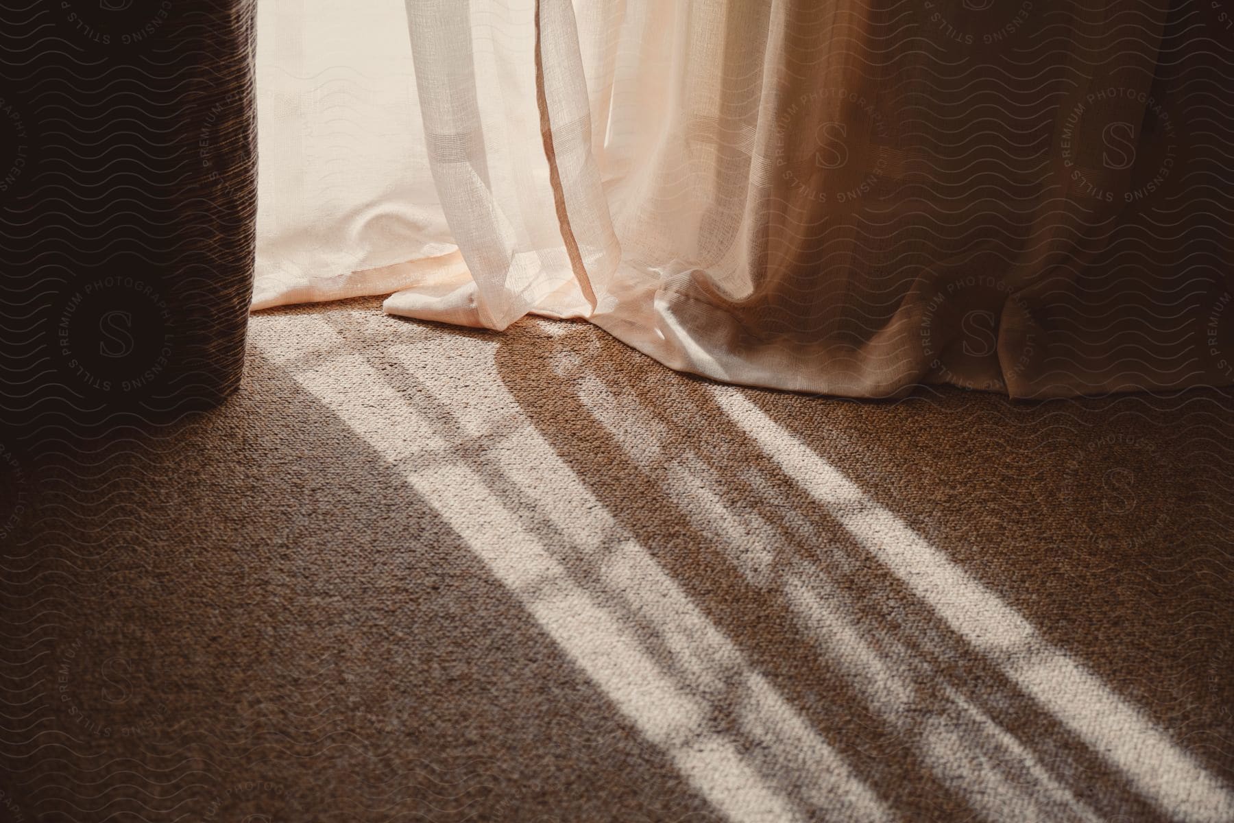 Daylight shines through a window casting light onto a carpeted floor