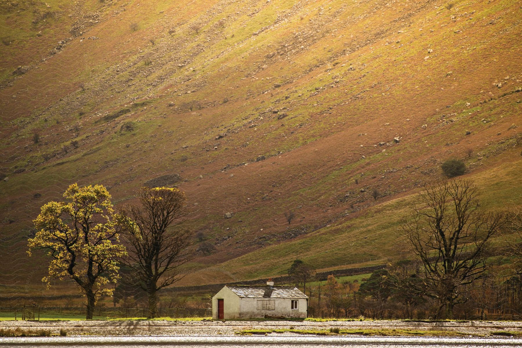 A white farmhouse with grassland in the background