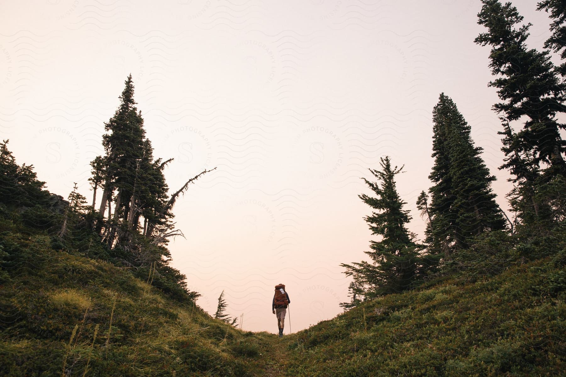 A hiker walks up a hill surrounded by green hills and trees at sunrise or sunset holding a hiking stick