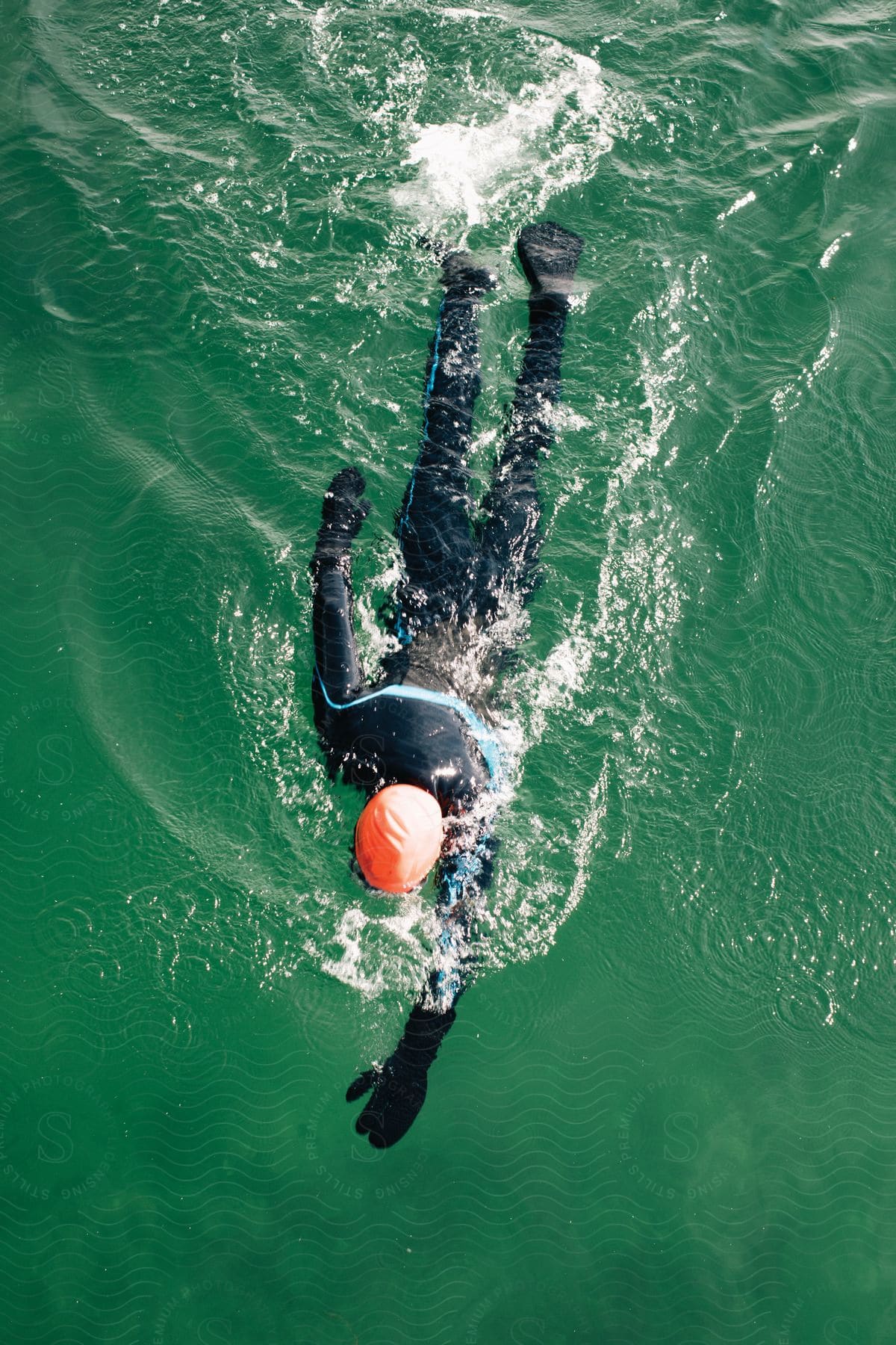 A person swimming in a pool outdoors