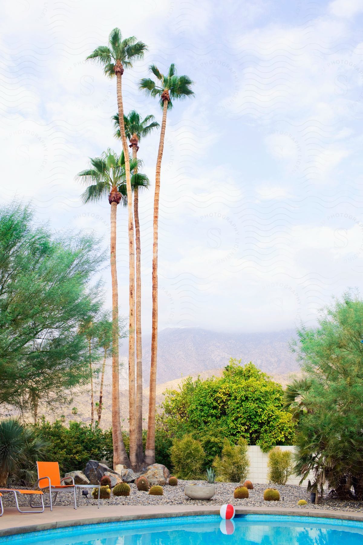 Four tall palm trees by a private swimming pool