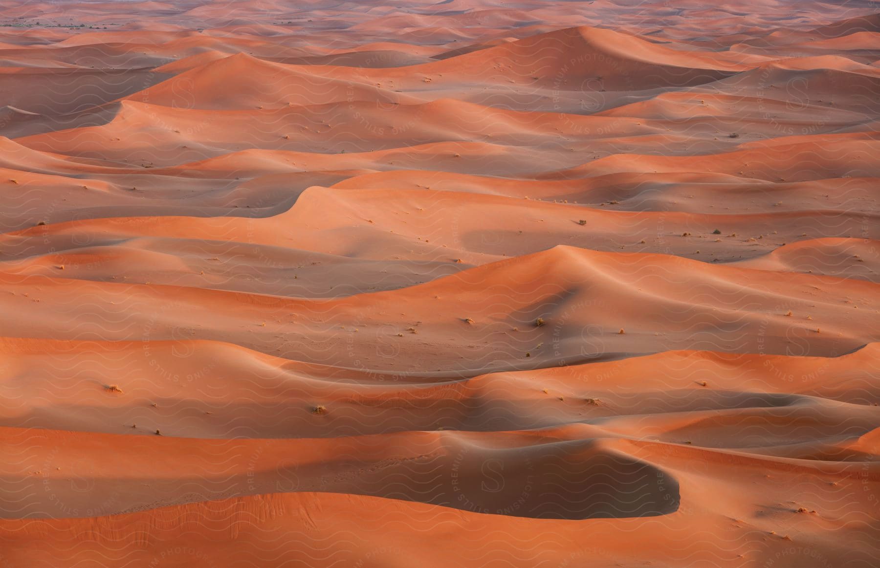 A desert landscape with sandy dunes and small bumps