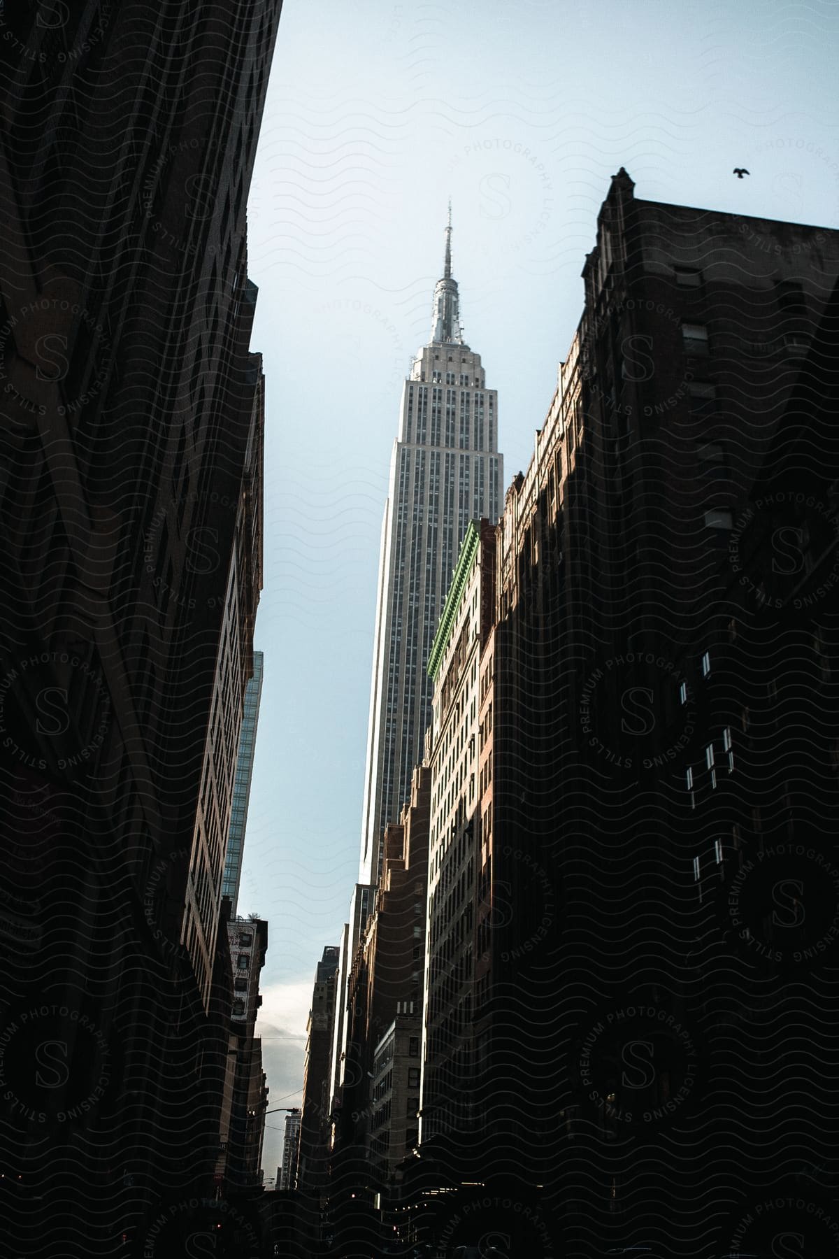 The empire state building seen from the sidewalk
